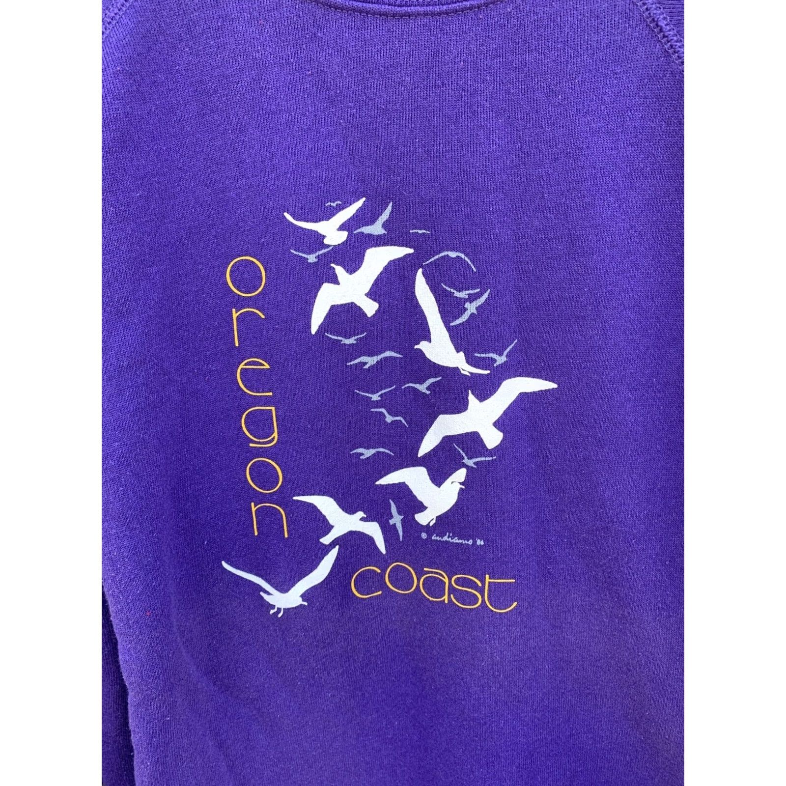 Hanes VINTAGE Hanes Oregon Coast Raglan Sweatshirt Seagull Graphics 80s 1980s Made In USA XL Men Pullover Crew Neck Purple Beach Bird Size US XL / EU 56 / 4 - 7 Thumbnail