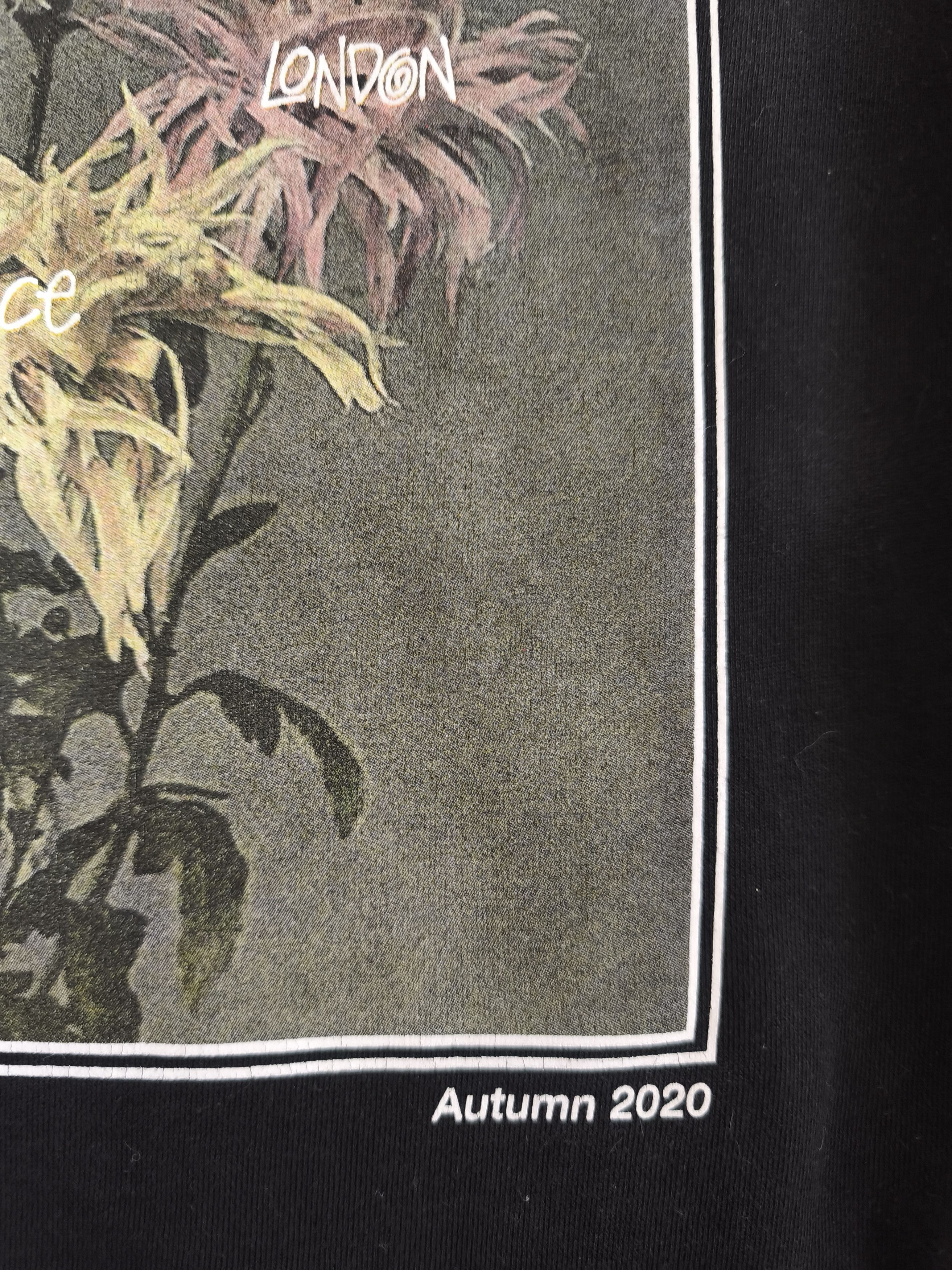 Stussy Stussy Dahlia Hoodie Size US S / EU 44-46 / 1 - 11 Thumbnail