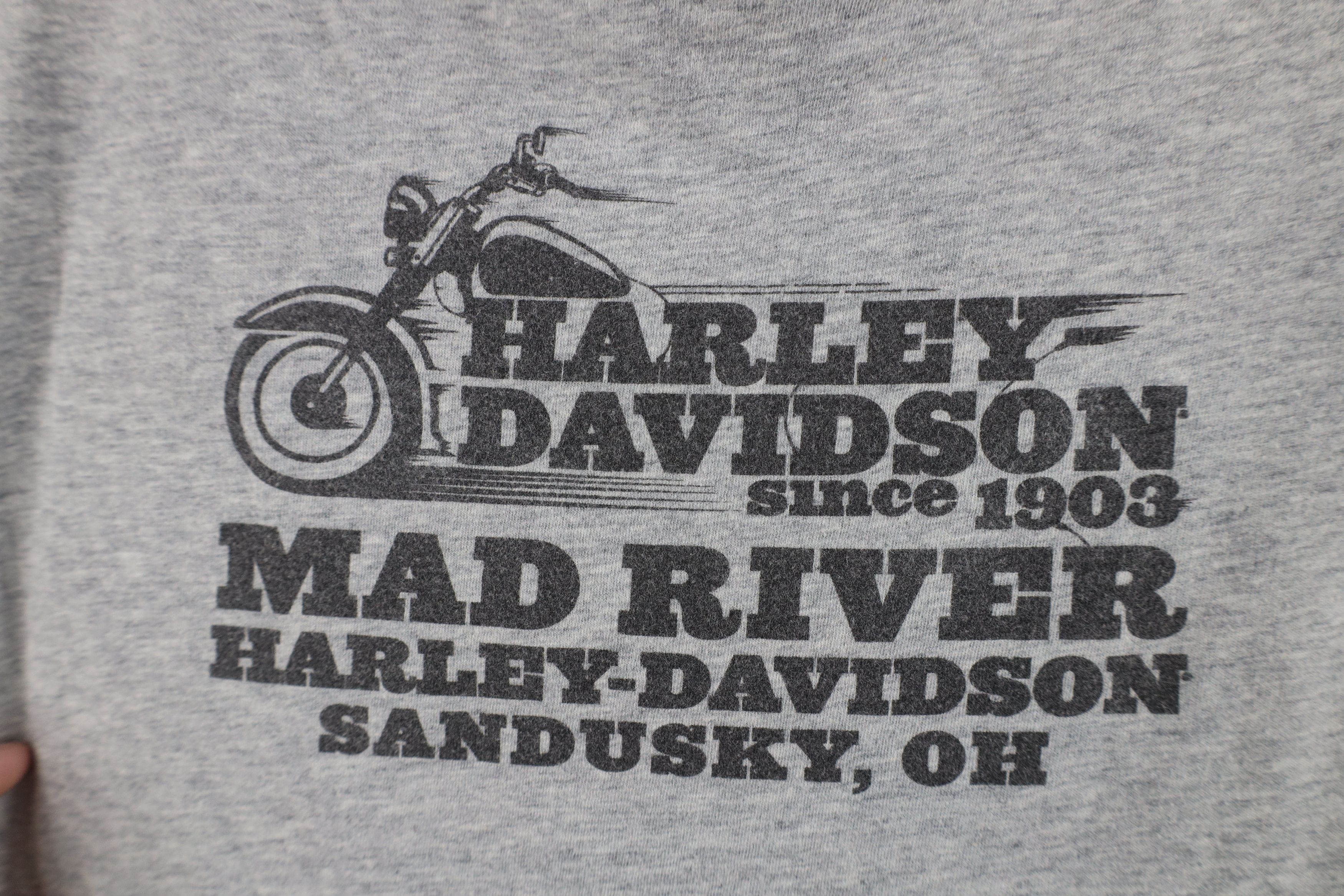 Harley Davidson Y2K Harley Davidson Spell Eagle Short Sleeve T-Shirt Gray Size L / US 10 / IT 46 - 12 Thumbnail