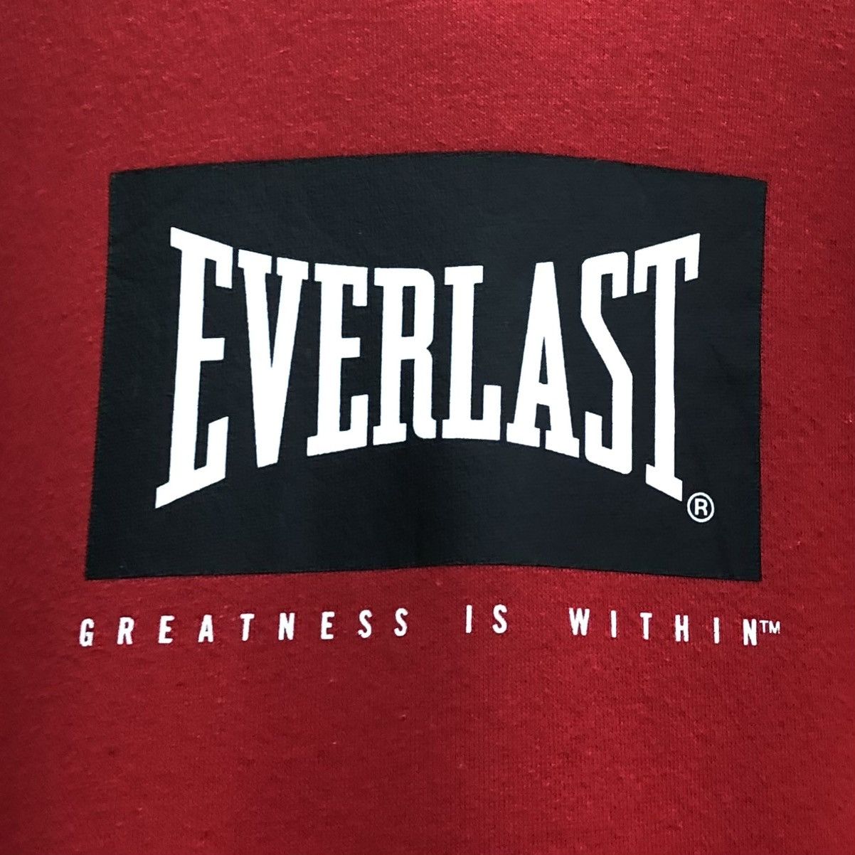 Everlast EVERLAST NYC Sweatshirt Hoodie With Logo Print Red Size US L / EU 52-54 / 3 - 5 Thumbnail