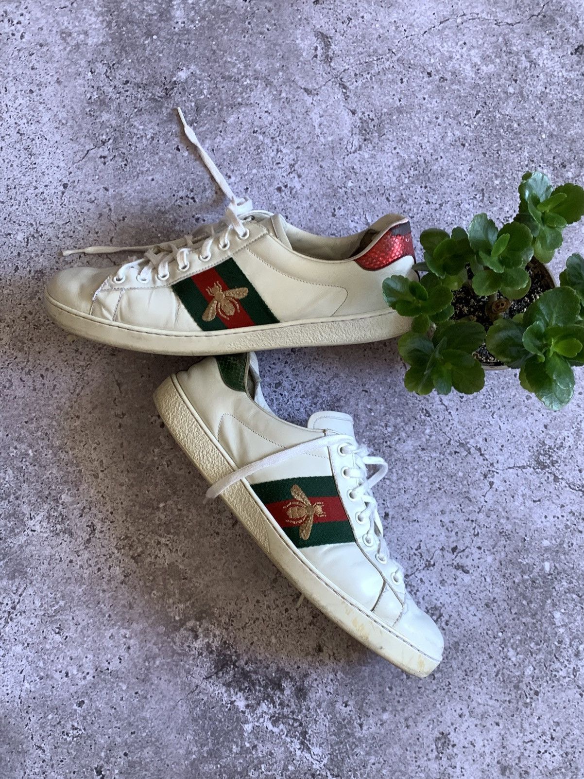 Gucci 🔥GUCCI ACE SNEAKERS Size US 9 / EU 42 - 1 Thumbnail