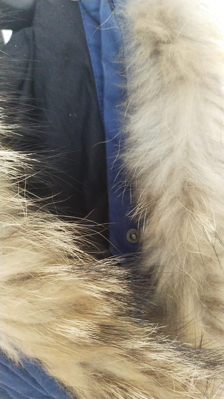 Guess GUESS Puffer Jacket Blue Goose Down with Hood Size US S / EU 44-46 / 1 - 4 Thumbnail