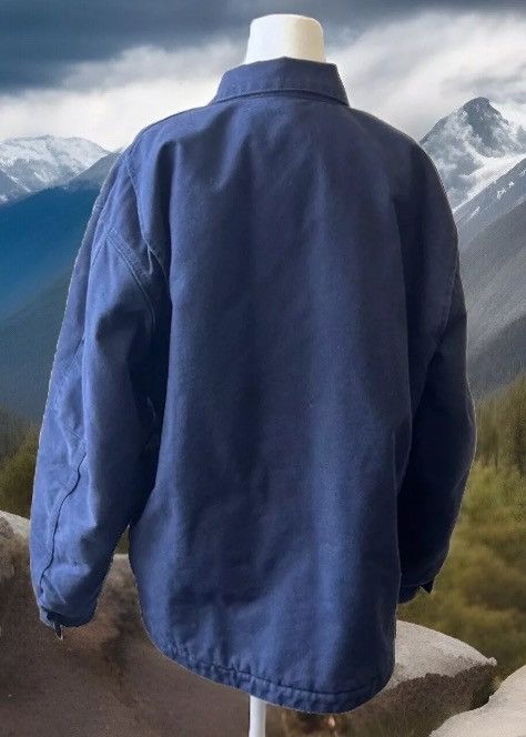 Carhartt RARE DENIM CARHARTT DETROIT JACKET Quilt lining Size US L / EU 52-54 / 3 - 4 Thumbnail