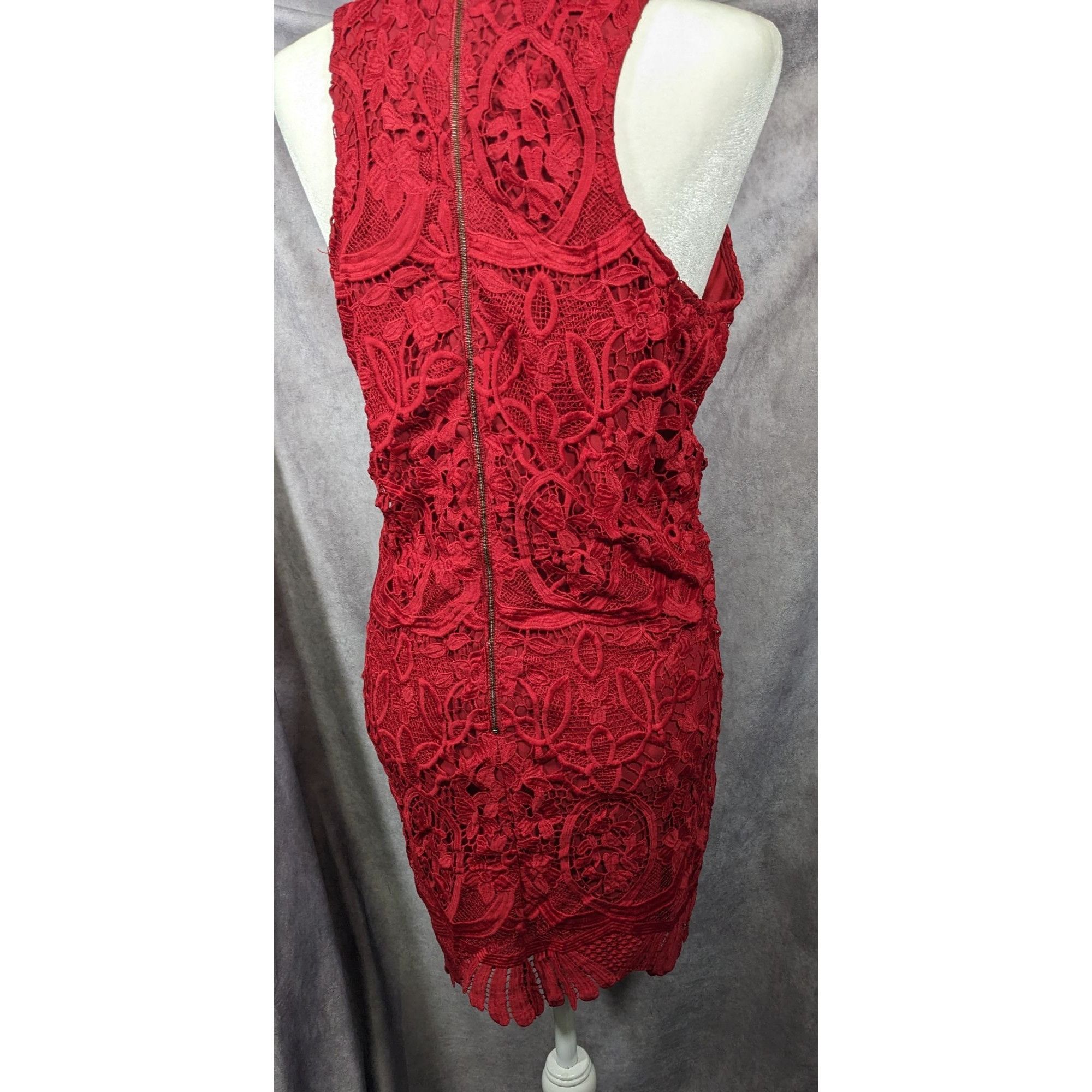Lovers and Friends Lovers + Friends Caspian Red Lace Shift Dress Size Large Size L / US 10 / IT 46 - 11 Thumbnail