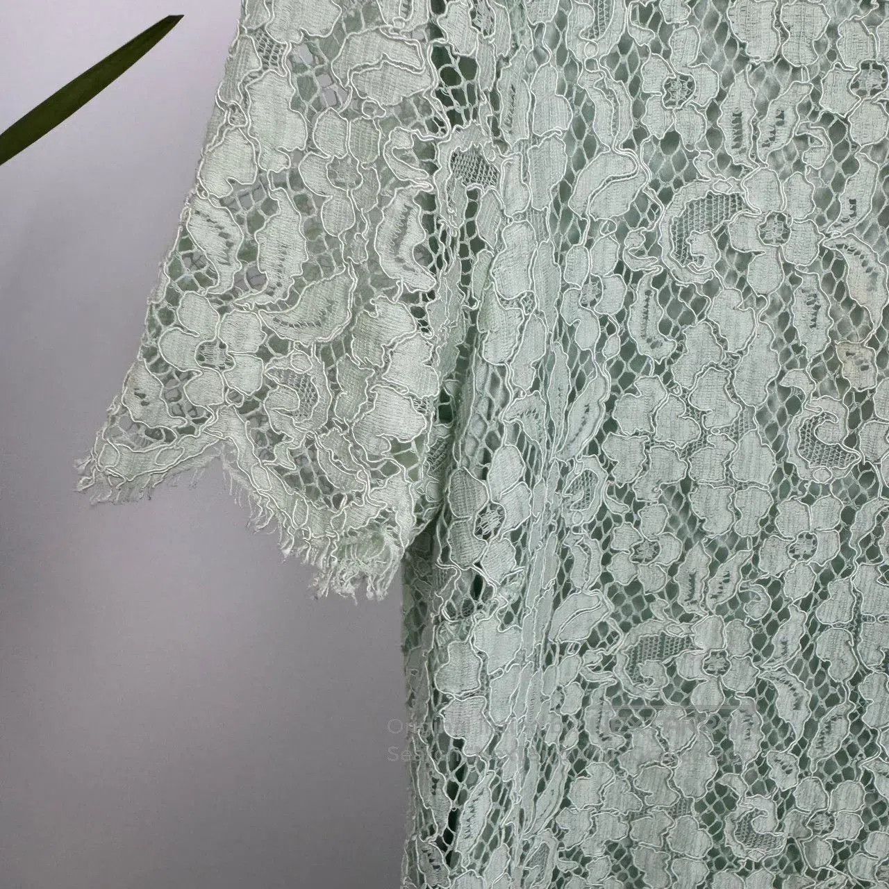 Dolce & Gabbana Dolce & Gabbana Avocado Green Lace Dress. | Grailed