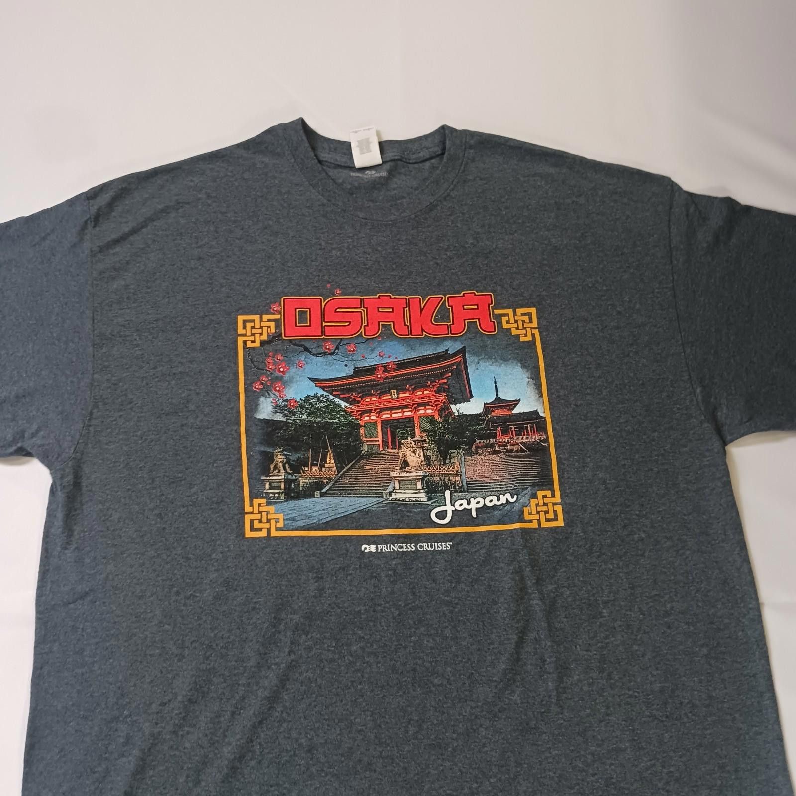 Gildan Gildan Heavy Cotton PRINCESS CRUISES Men's Gray T-Shirt 2XL Size US XXL / EU 58 / 5 - 9 Thumbnail