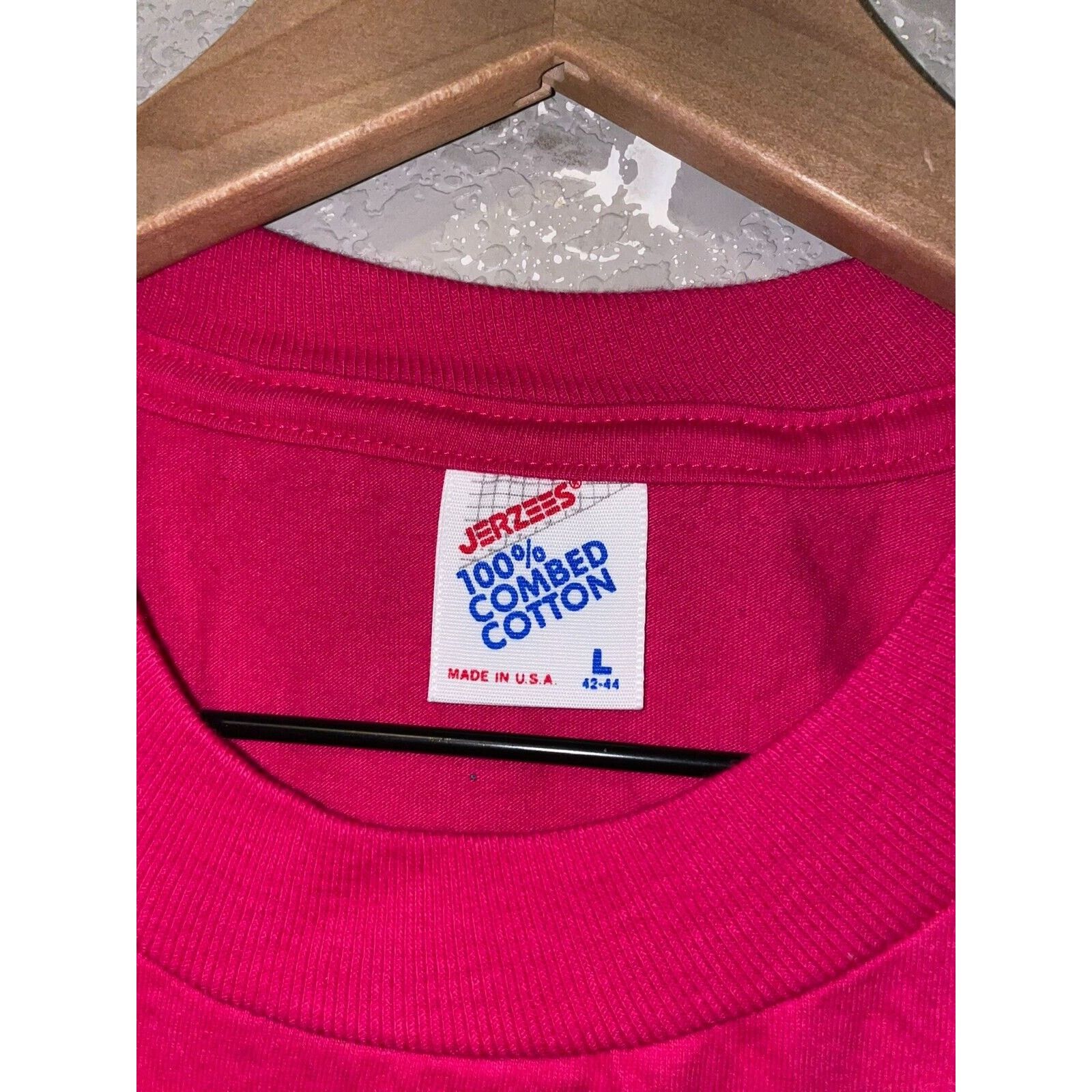 Jerzees Vintage Arizona Desert Shirt Cactus Pink Tee VTG 90s Large Size US L / EU 52-54 / 3 - 8 Thumbnail