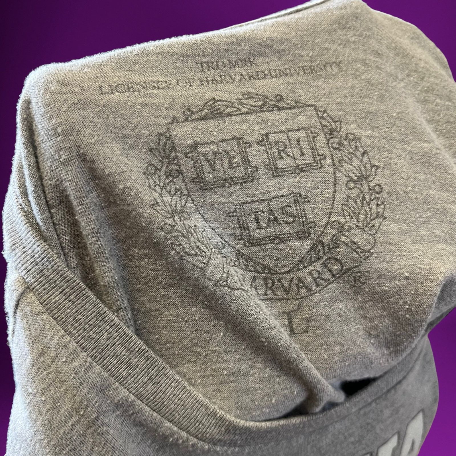 Other Harvard University Shirt Crop Top Fitted Veritas Est. 1636 Size L / US 10 / IT 46 - 5 Thumbnail