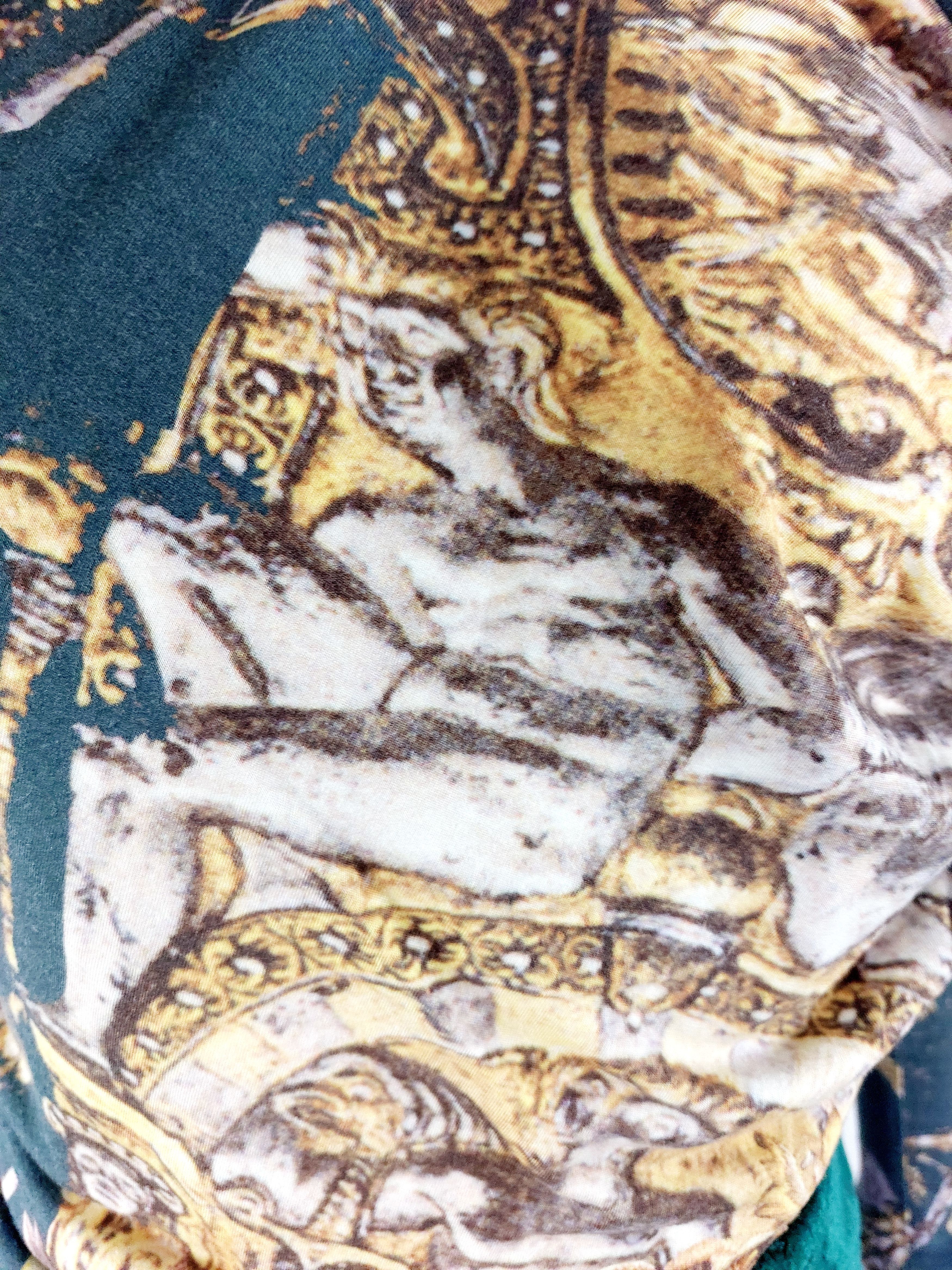 Roberto Cavalli Roberto Cavalli Greek Medusa Baroque Velvet Dress Size XS / US 0-2 / IT 36-38 - 6 Thumbnail