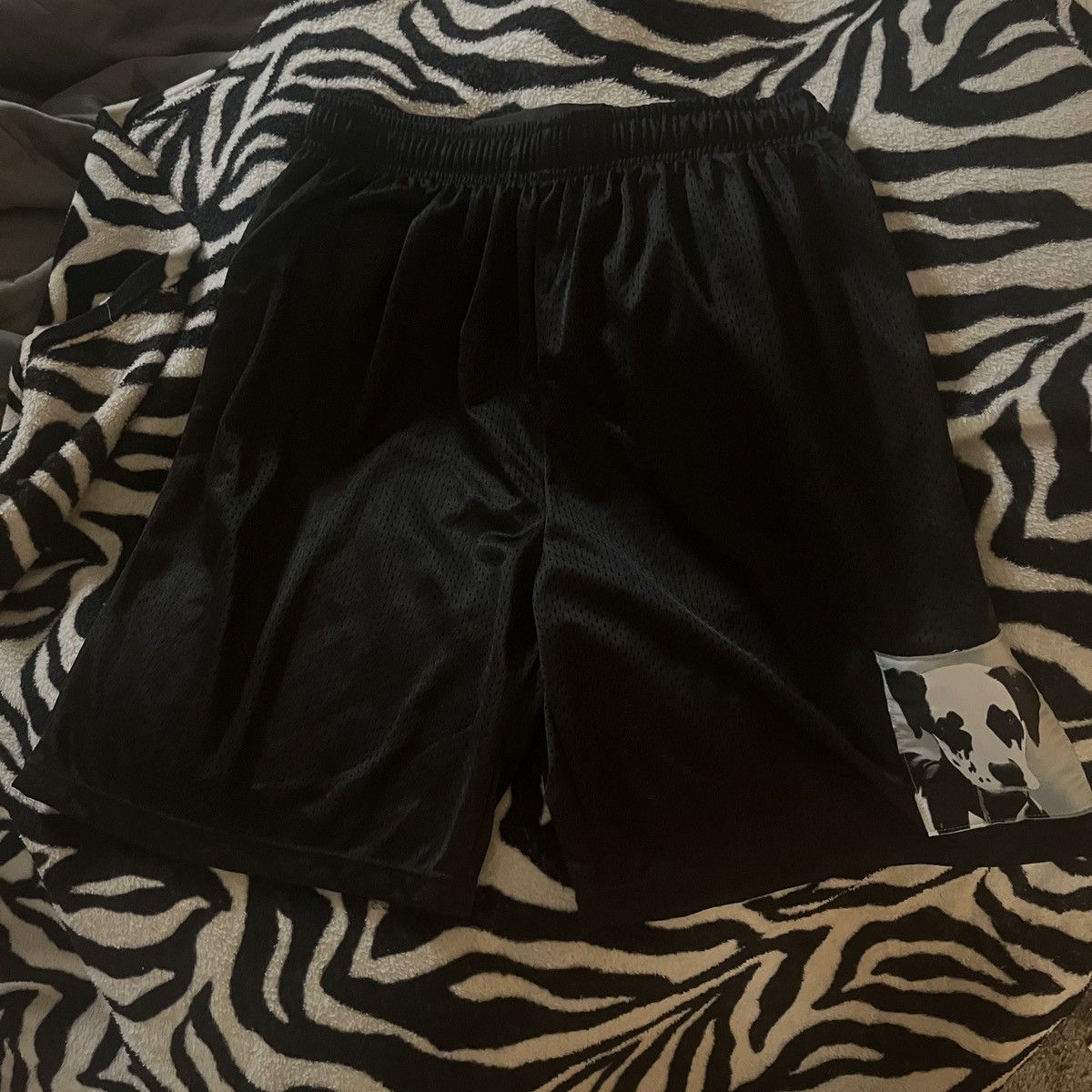 Other skip fame Dalmatian basket ball shorts Size US 28 / EU 44 - 1 Thumbnail