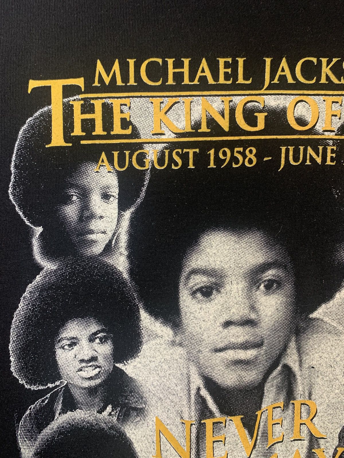 Band Tees × Michael Jackson × Vintage 2009 Cincinnati Music & Entertainment Festival T-shirt Size US XL / EU 56 / 4 - 21 Thumbnail
