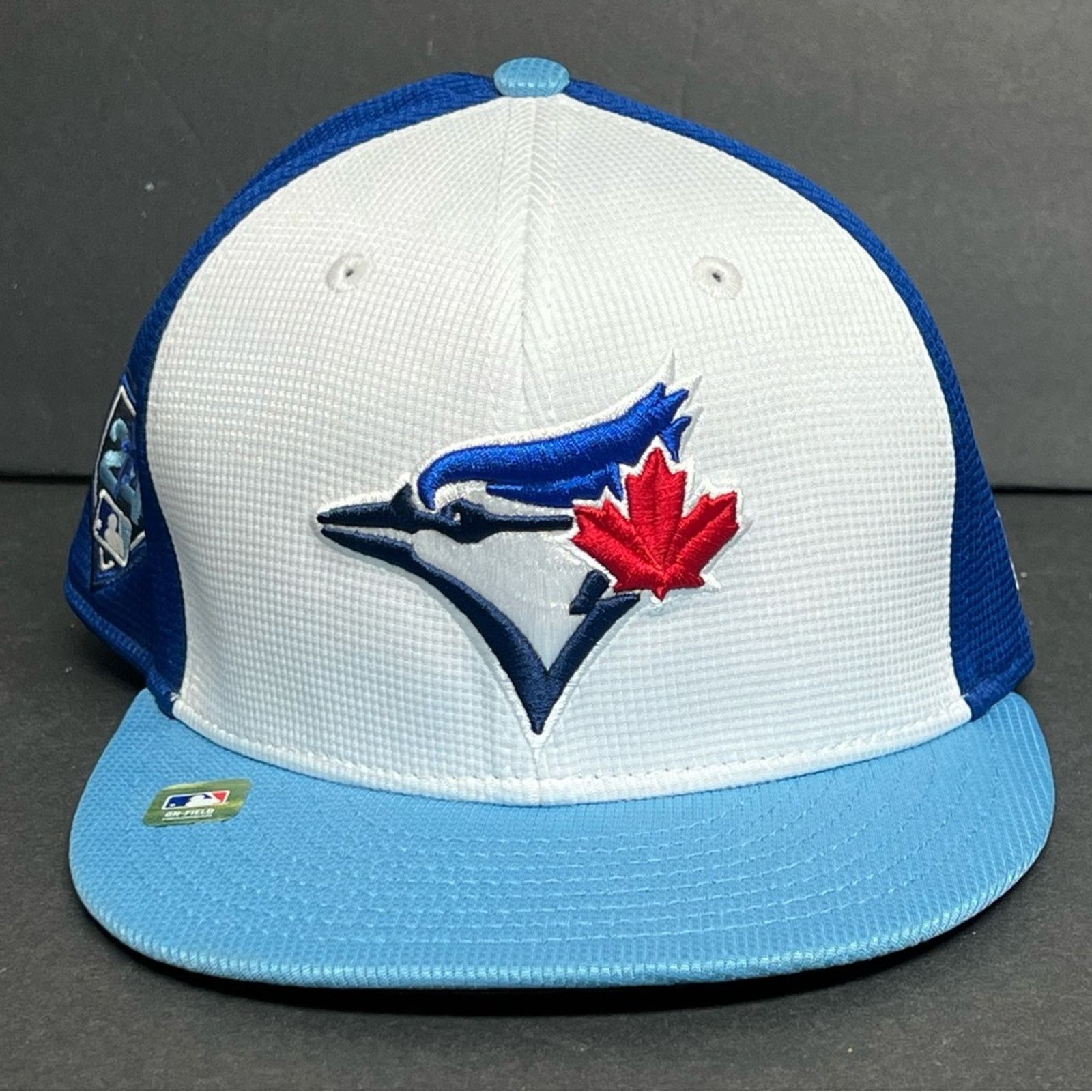 New Era Toronto Blue Jays 2024 GAME USED PLAYERS SPRING TRAINING HAT Size ONE SIZE - 1 Thumbnail
