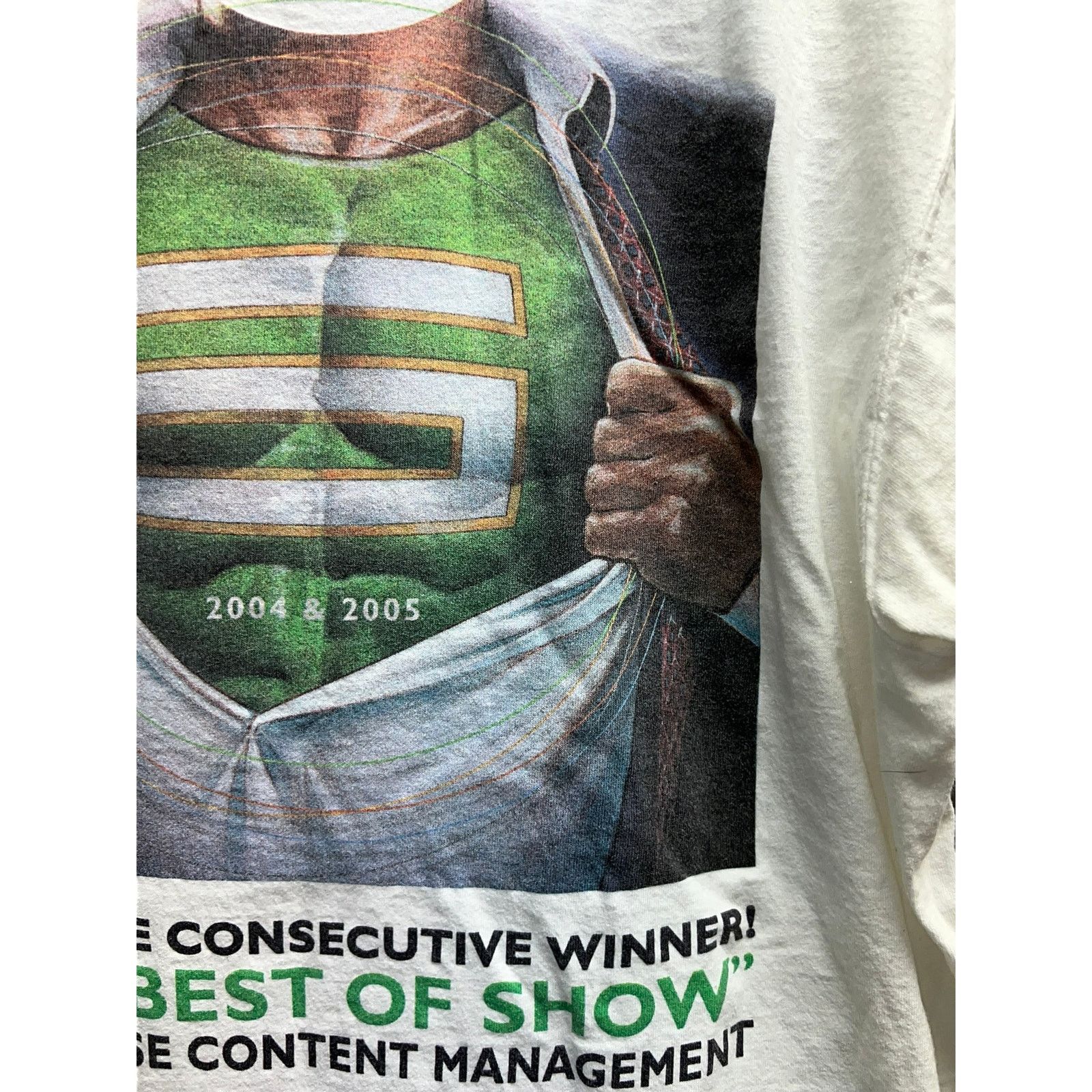 Fruit Of The Loom Vintage Consulting Shirt IT Consultant Stellent Enterprise L Size US L / EU 52-54 / 3 - 4 Thumbnail