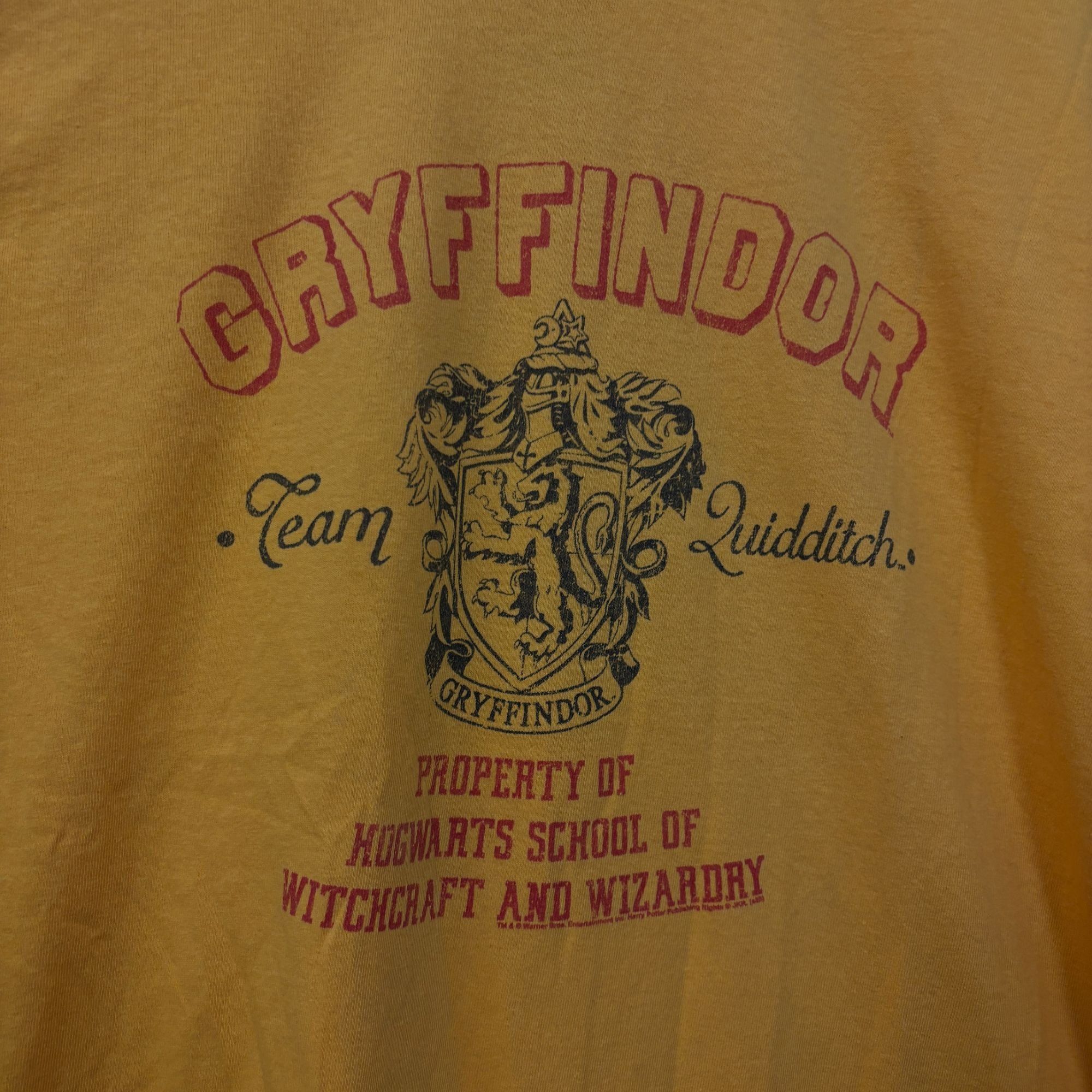 Warner Bros Harry Potter Gryffindor Team Quidditch Tshirt Size medium Size US M / EU 48-50 / 2 - 2 Thumbnail