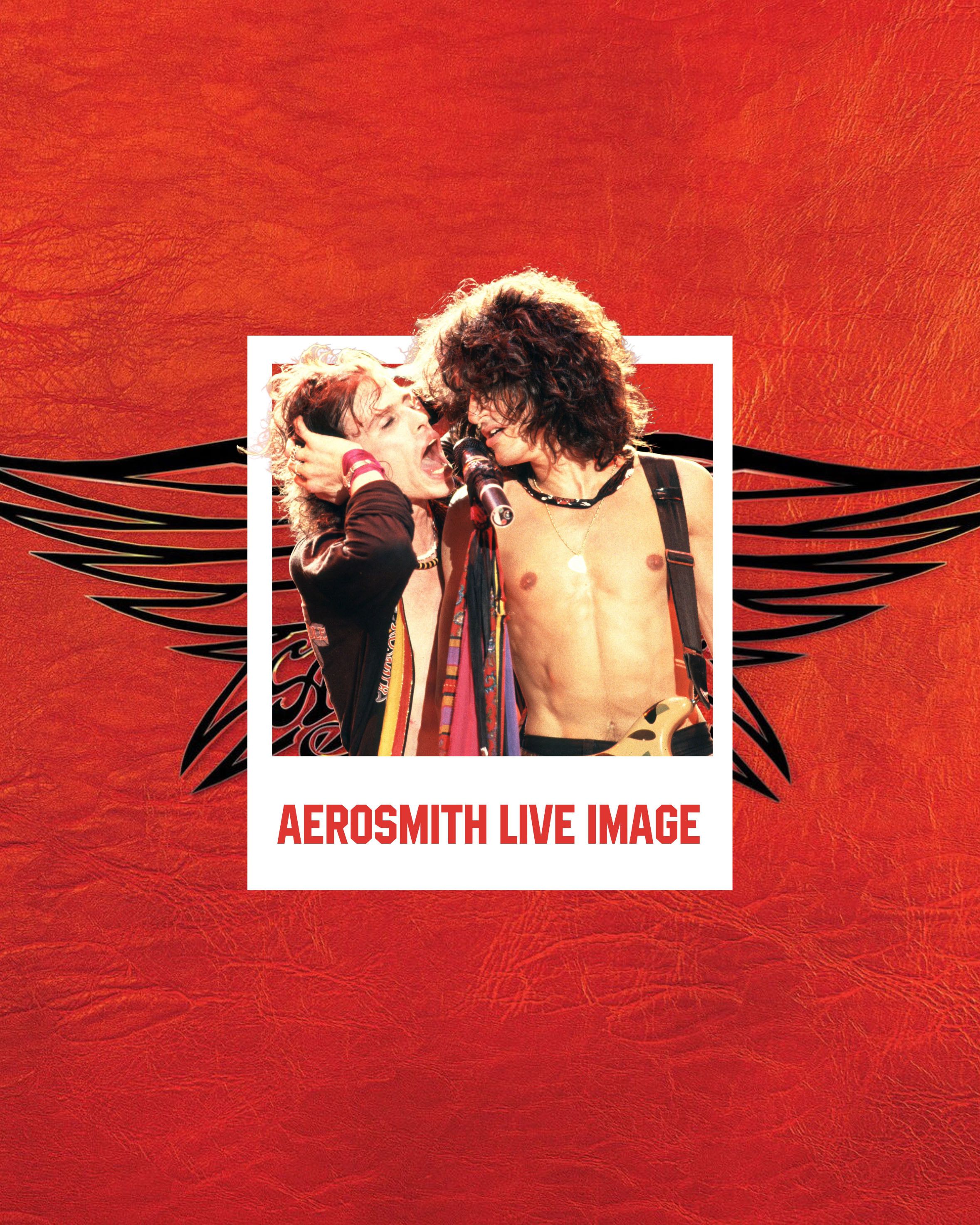 Band Tees Aerosmith (Live Image) Tshirt Copyright 2009 Size US L / EU 52-54 / 3 - 8 Thumbnail