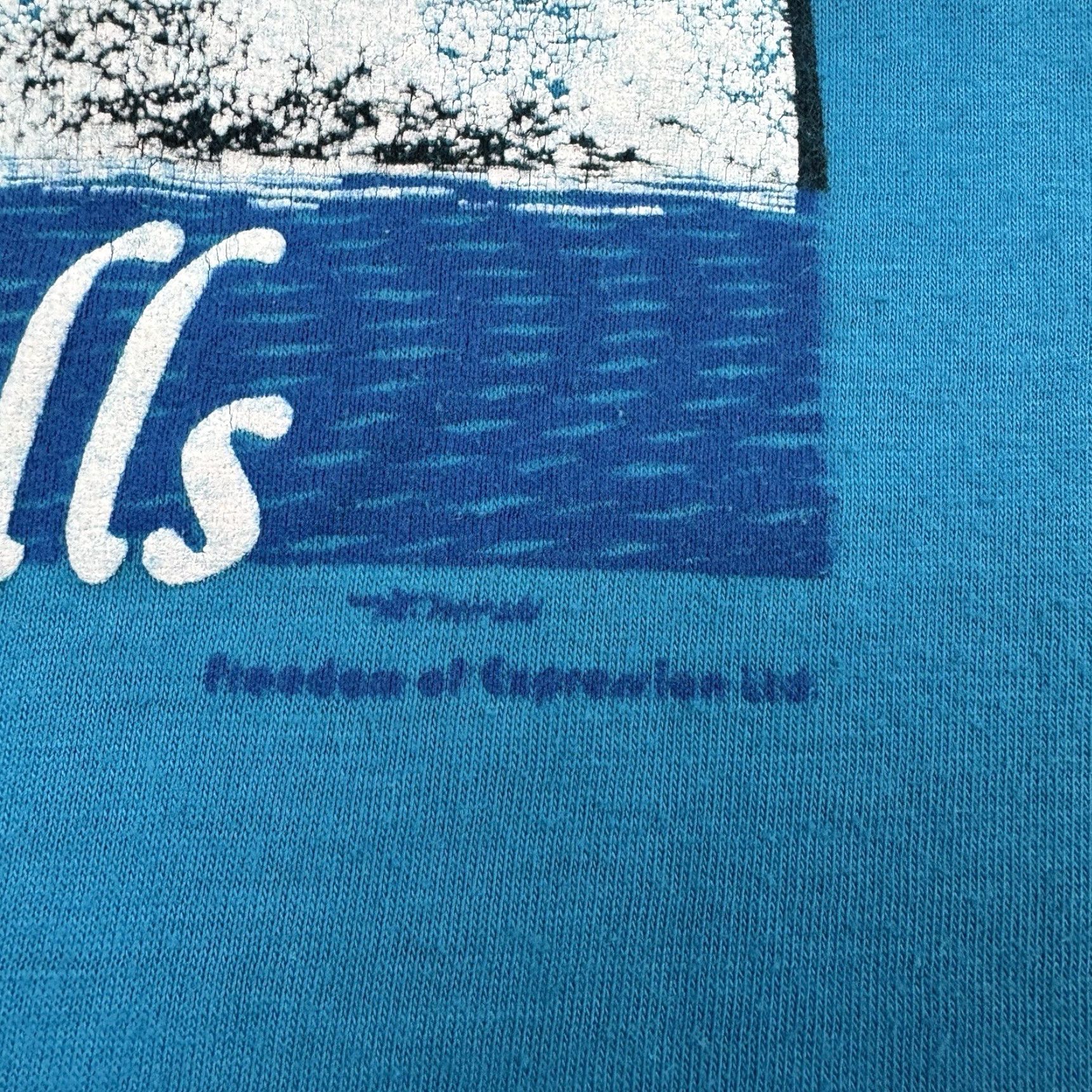 Hanes VINTAGE Niagara Falls T Shirt Men Large Blue Waterfall Nature 1980s Hanes Crew Neck Short Sleeve 80s Size US L / EU 52-54 / 3 - 4 Thumbnail