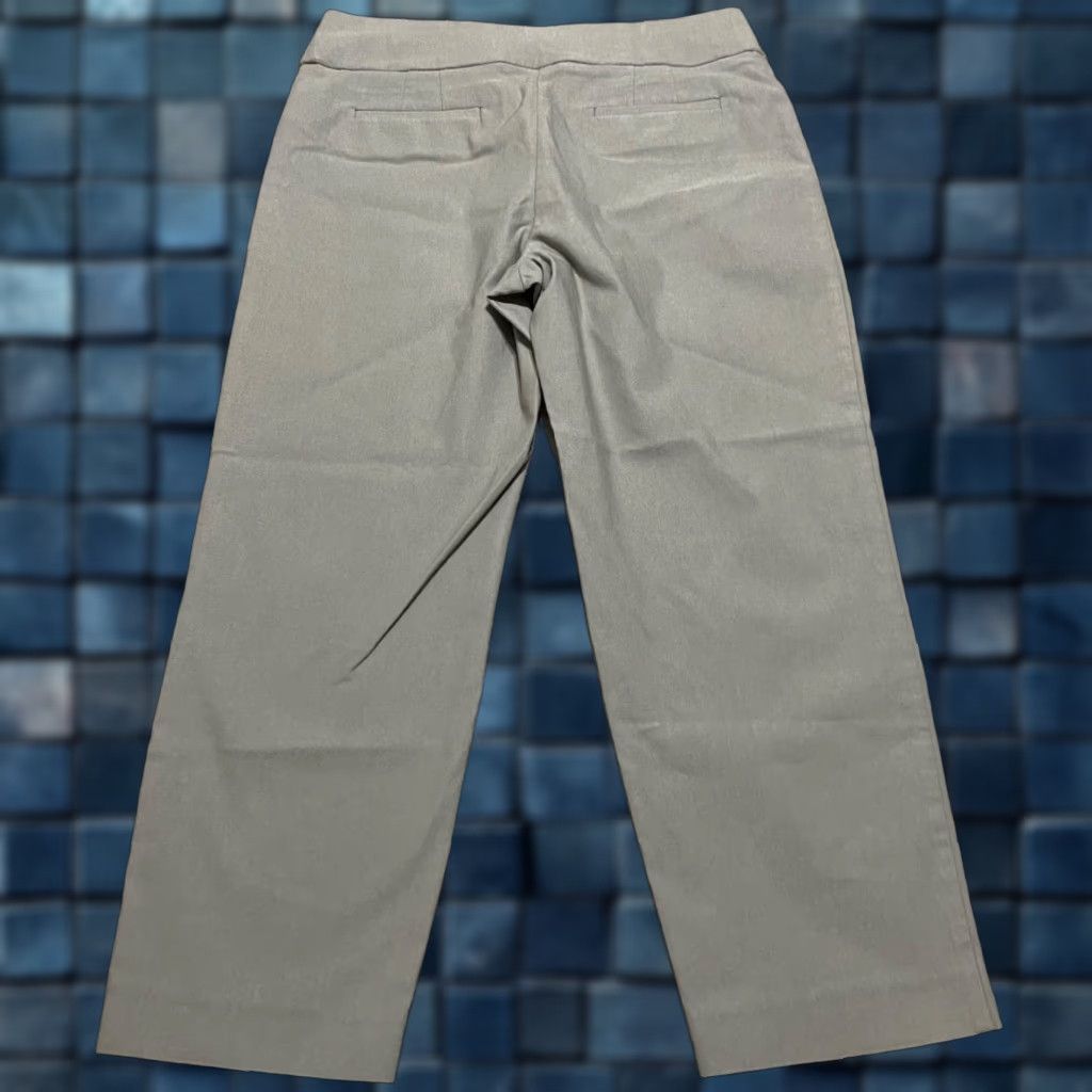 Apt. 9 Apt. 9 Womens Dress Pants Beige Stretch Brynn Pull-On Business Office Flat Front 10 Pants Womens2010s Size 32" / US 10 / IT 46 - 1 Thumbnail