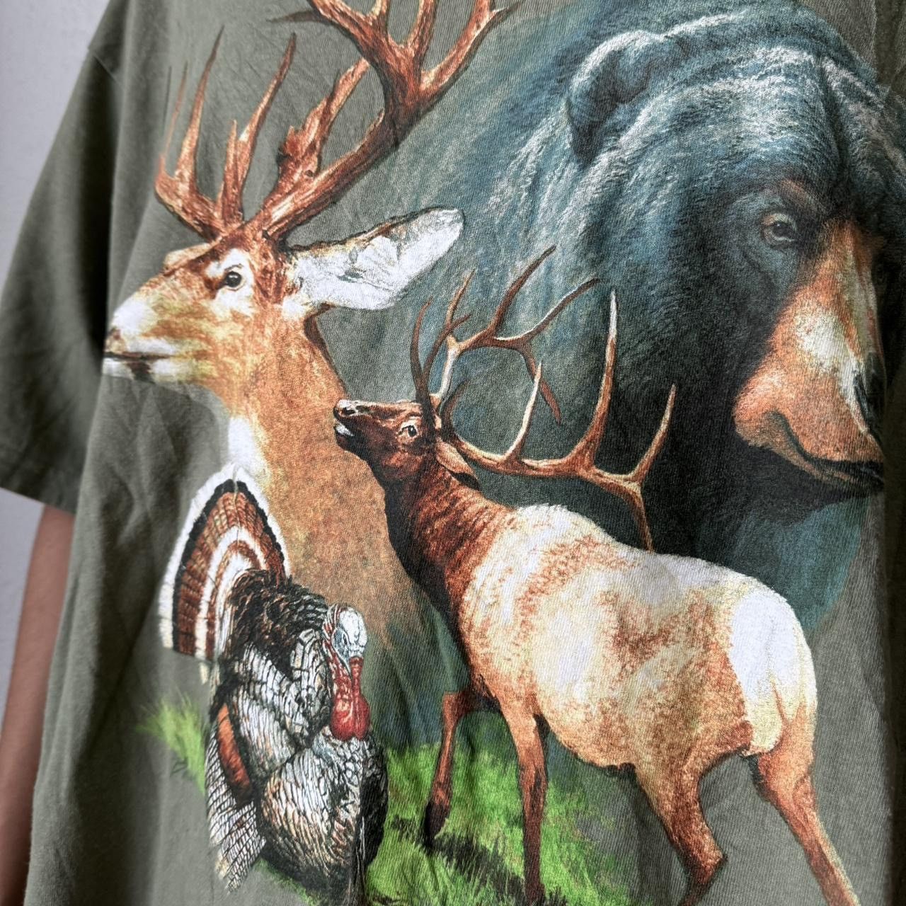 Vintage Vintage Abilene Zoo 1990s Graphics Green Tee Shirt Size US XL / EU 56 / 4 - 6 Thumbnail