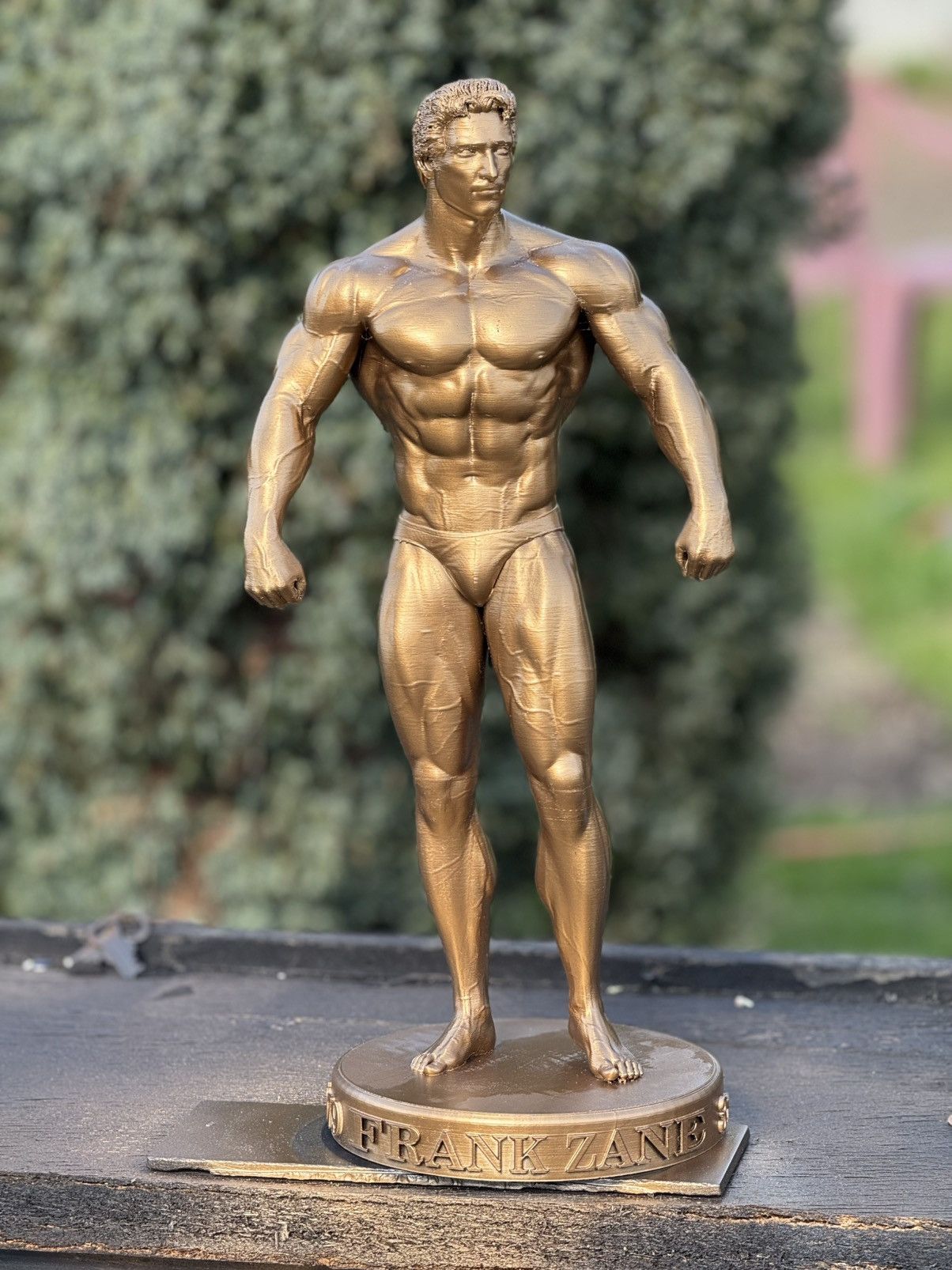 Other Gym statue Frank Zane Mr Olympia Bodybuilding 35cm Size ONE SIZE - 2 Thumbnail
