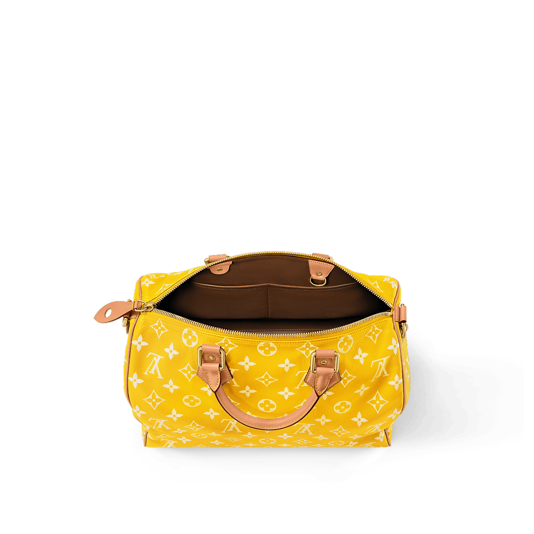 Louis Vuitton Speedy P9 Bandoulière 40 Bag Size ONE SIZE - 10 Thumbnail