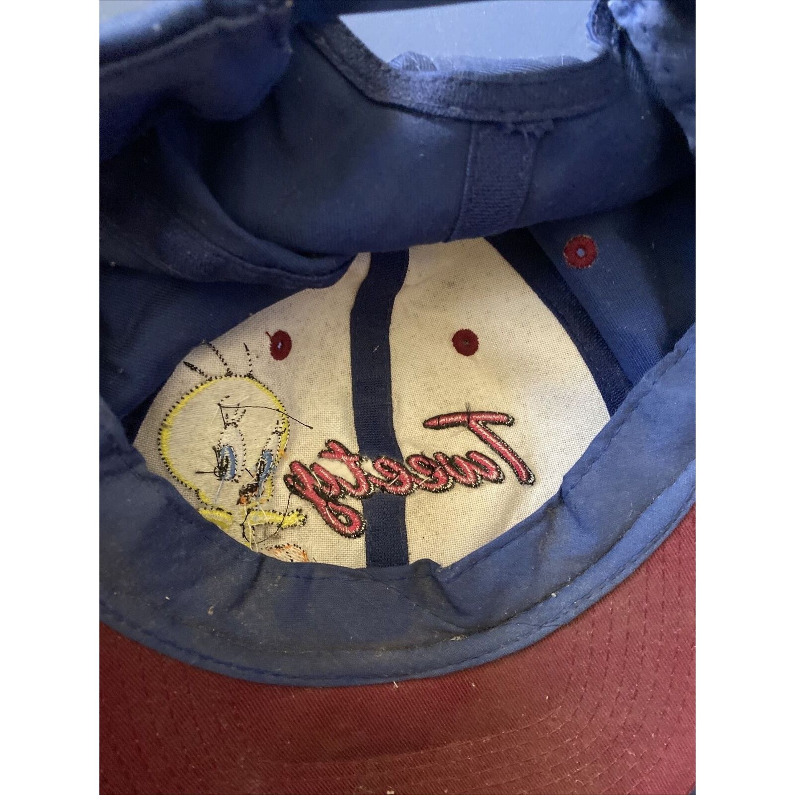 Warner Bros Vintage Hat Looney Tunes Tweety Bird Snapback Cap 1997 Size ONE SIZE - 11 Thumbnail