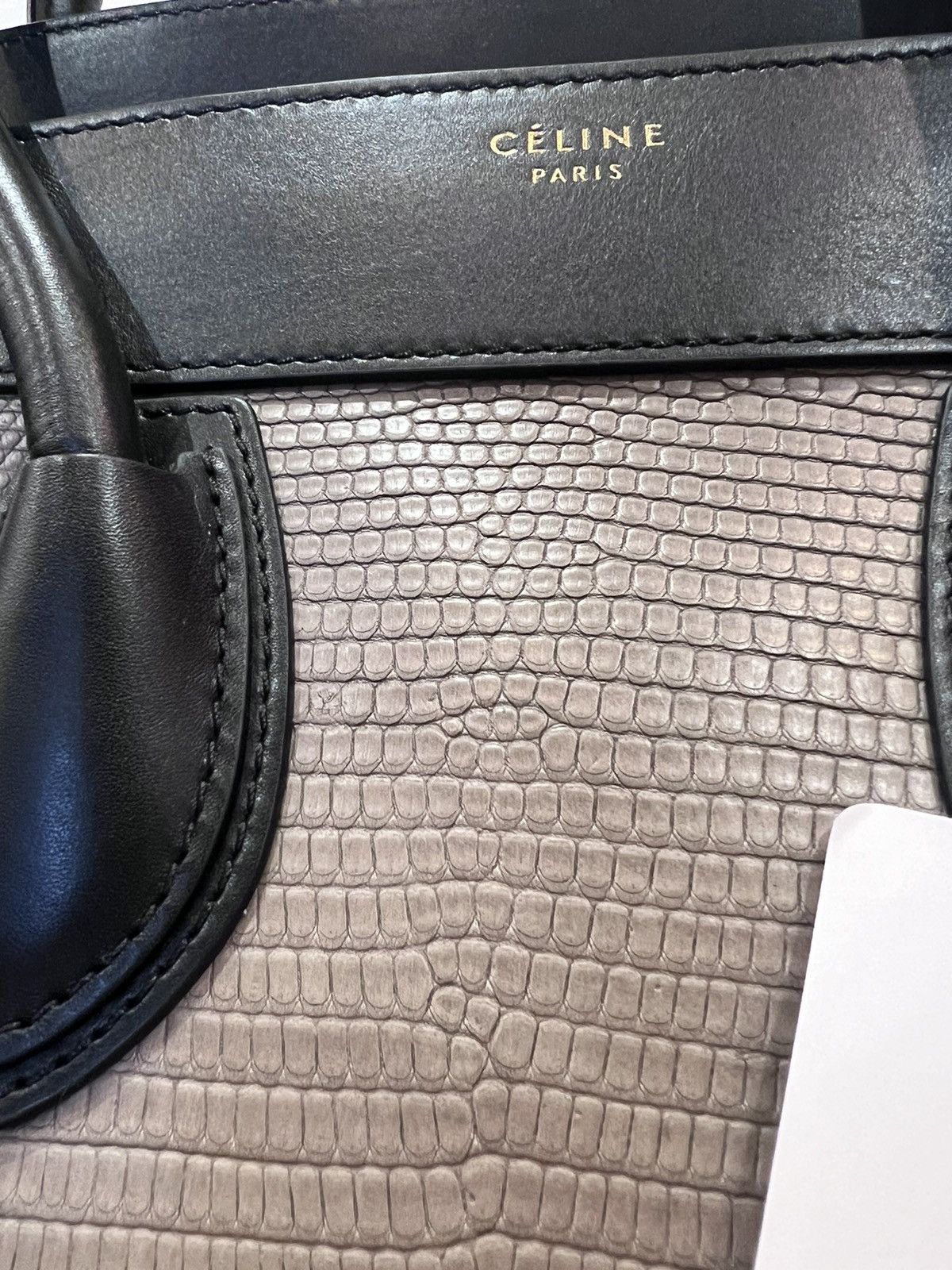 Celine Mini Luggage Leather and Lizard