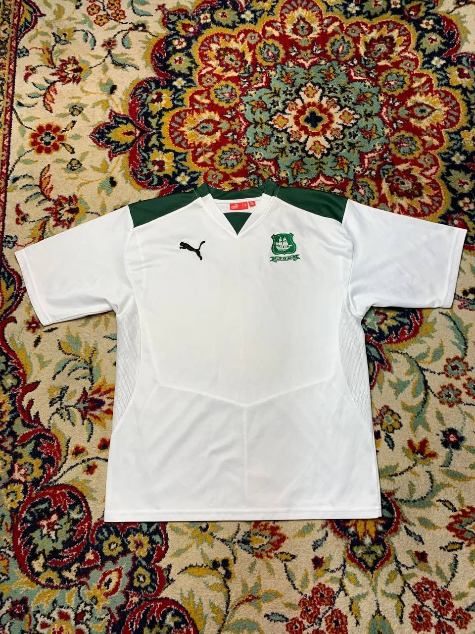 Puma Plymouth Argyle Shirt Soccer Jersey Training Top Puma Mens M Size US M / EU 48-50 / 2 - 1 Thumbnail