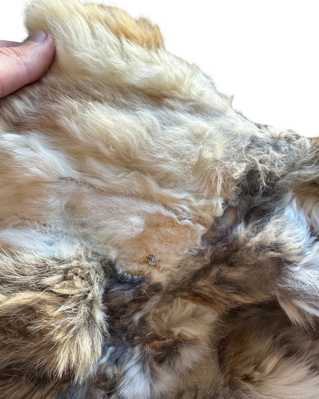 Roberto Cavalli F/W 2003 Runway Rabbit Fur Army Coat Size US S / EU 44-46 / 1 - 15 Thumbnail