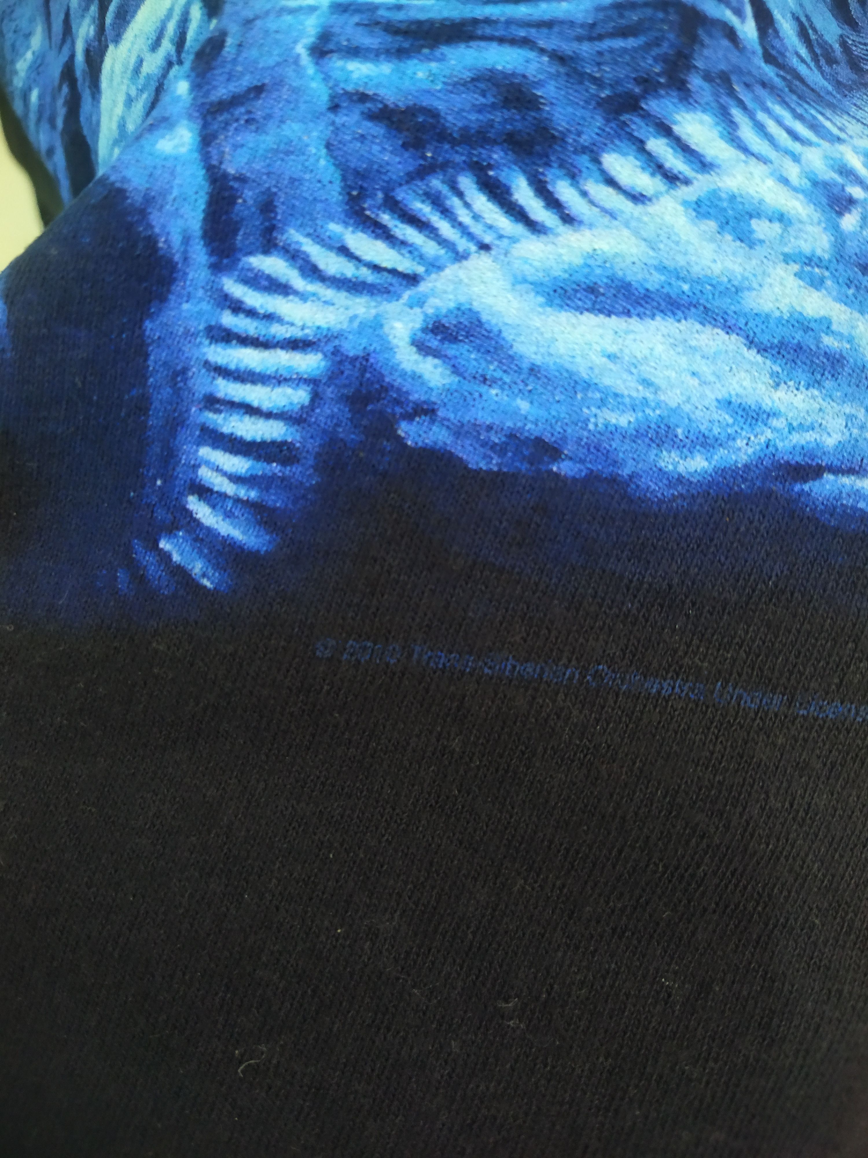Band Tees Trans Siberians Orchestra Tour 2011 Size US M / EU 48-50 / 2 - 6 Thumbnail