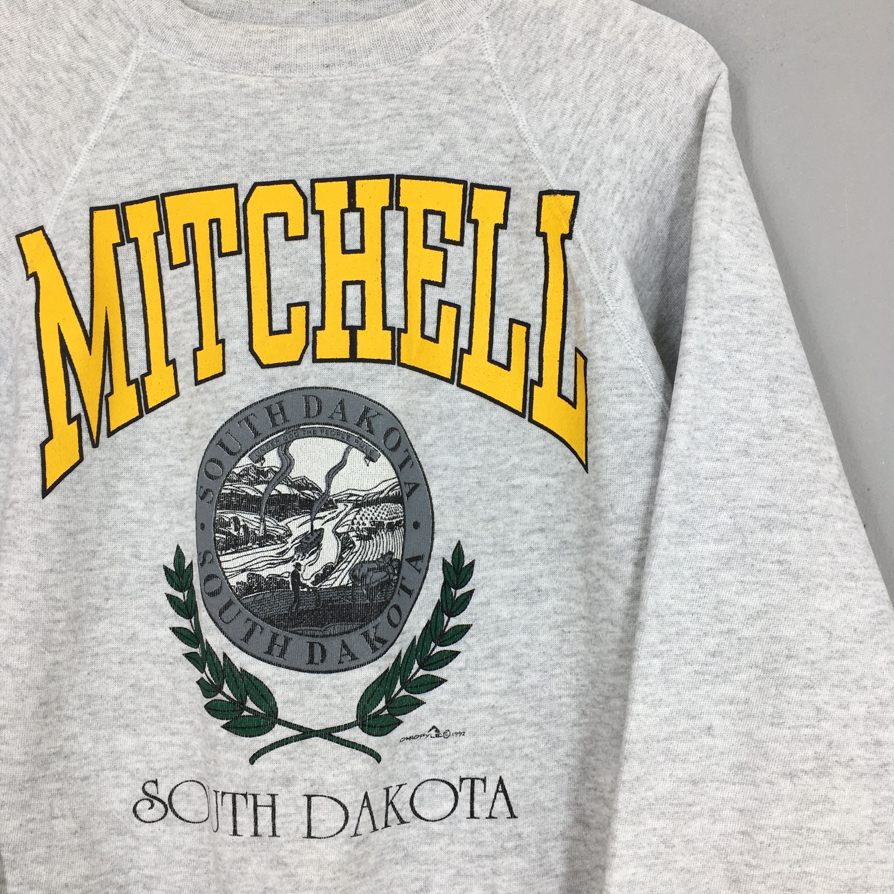 Dakota Grizzly Vintage 90s Mitchell South Dakota Gray Sweatshirt Large Size US L / EU 52-54 / 3 - 2 Thumbnail