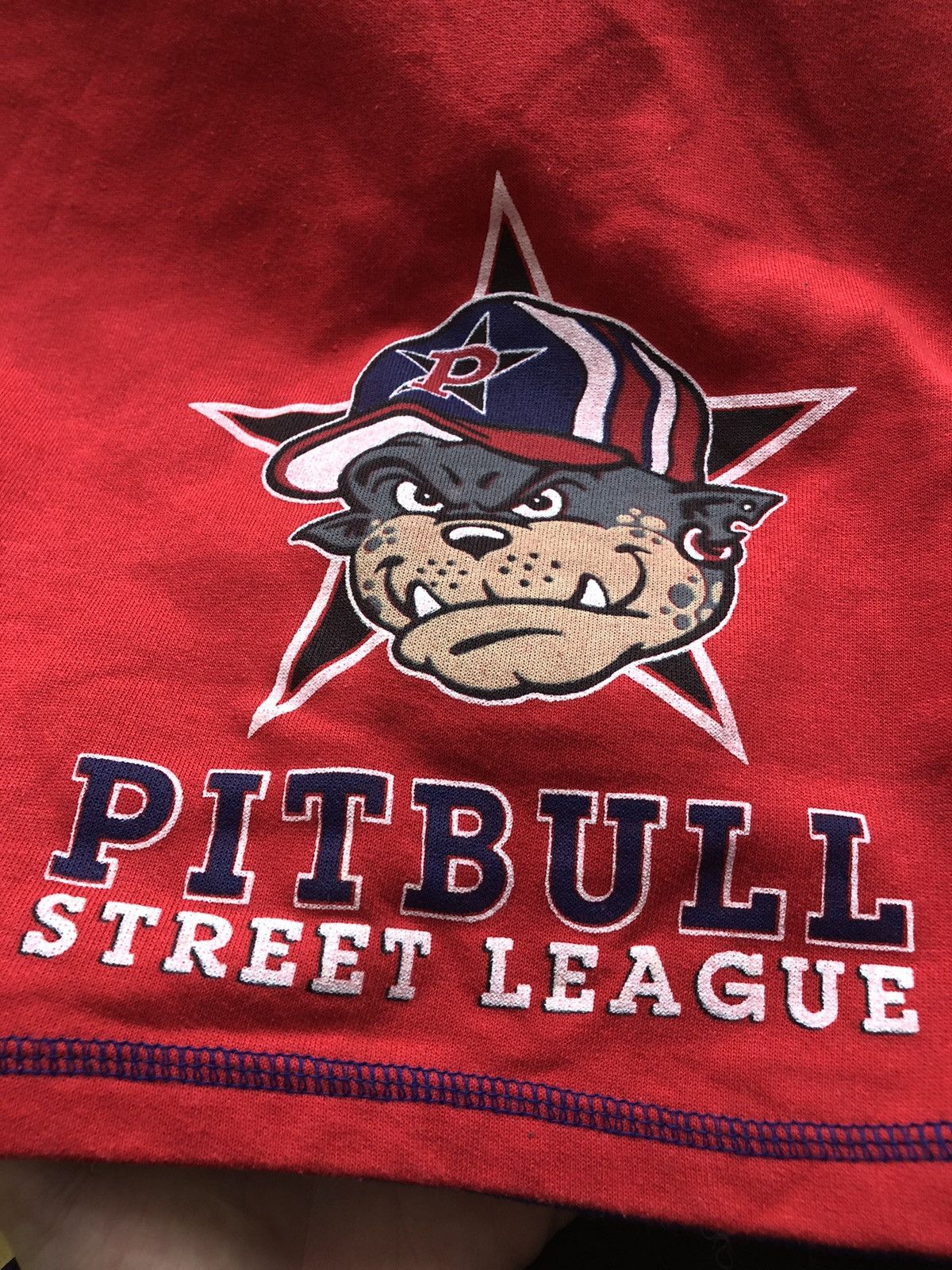 Vintage RARE PITBULL BRONX VINTAGE CREWNECK SWEATSHIRT Size US L / EU 52-54 / 3 - 4 Thumbnail