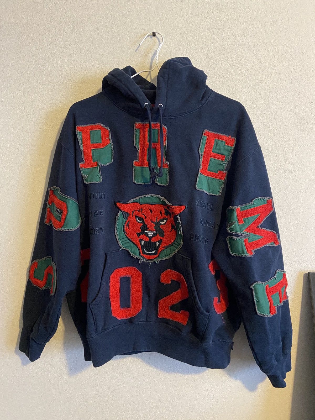 2023 Panther Appliqué Hoodie