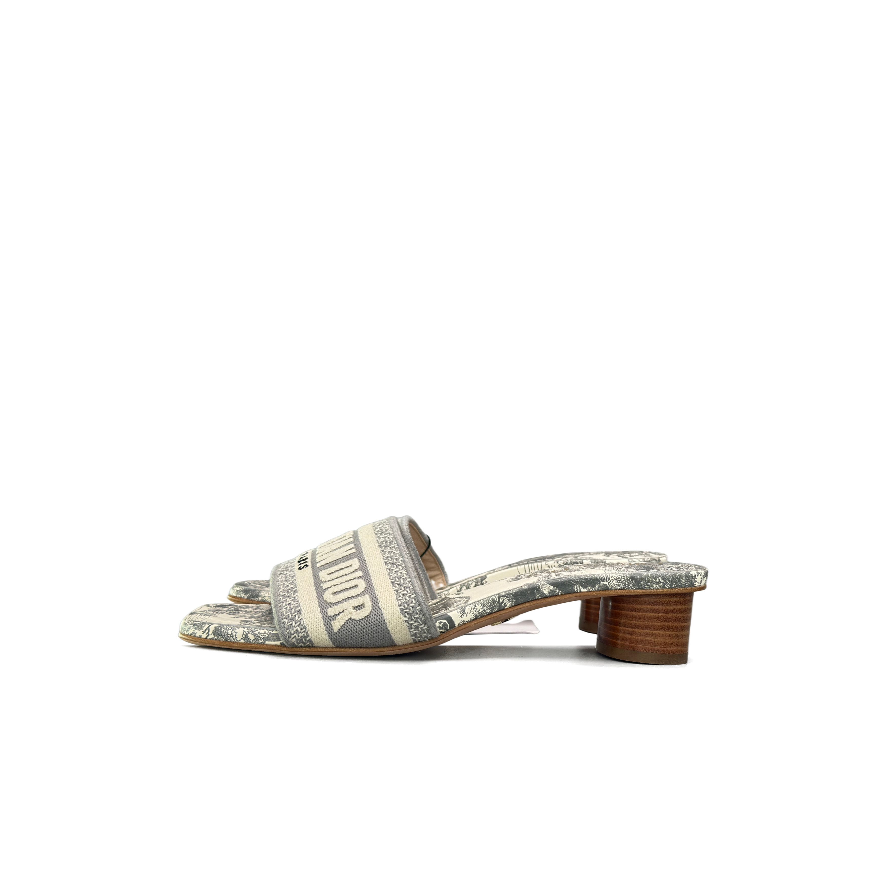 Dior Dior Dway Toile de Jouy Mules Size 35.5 Size US 5.5 / IT 35.5 - 1 Thumbnail