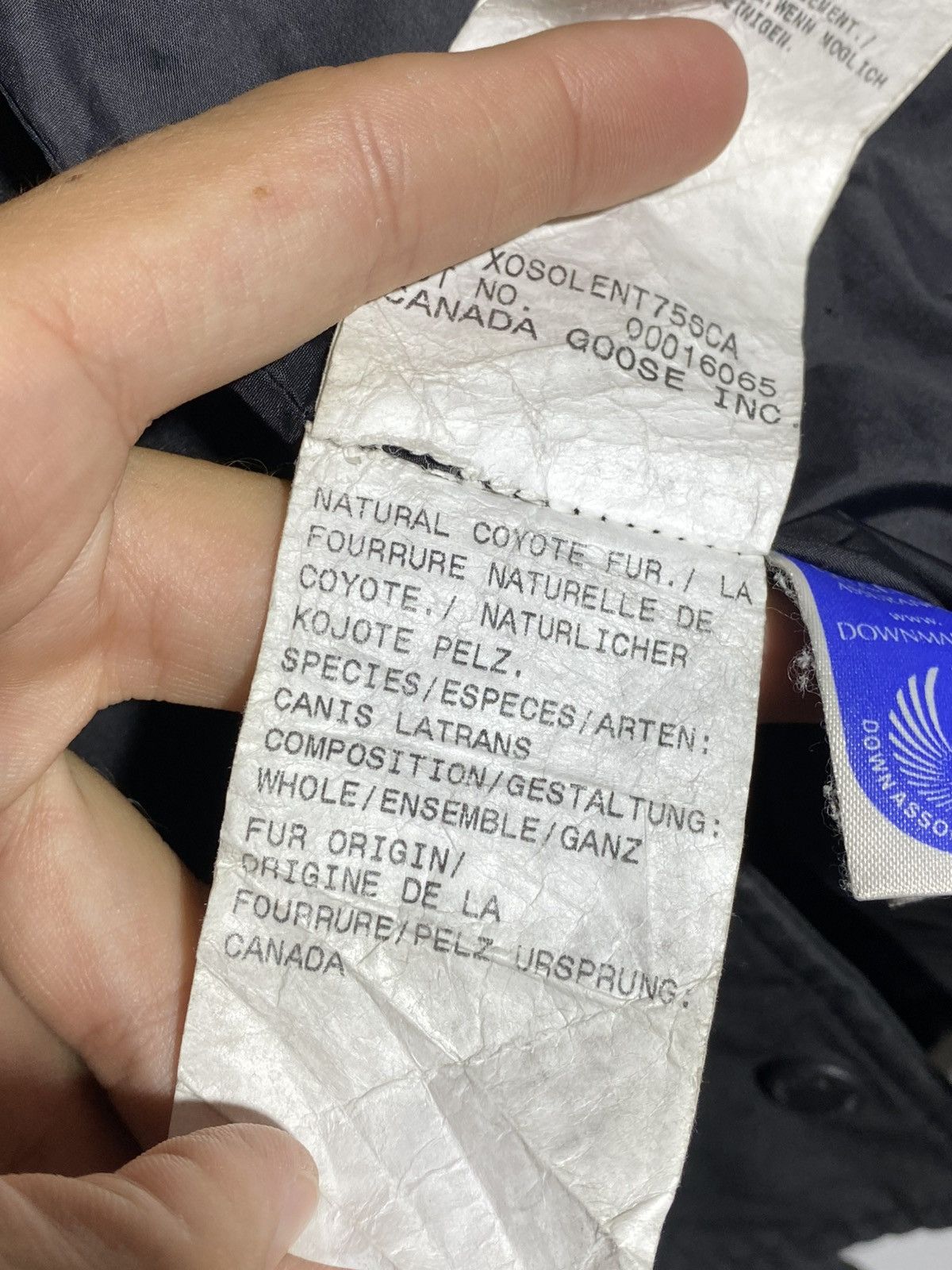 Canada Goose Canada Goose 3802 NL Black Parka Down Jacket Size XS / US 0-2 / IT 36-38 - 20 Thumbnail