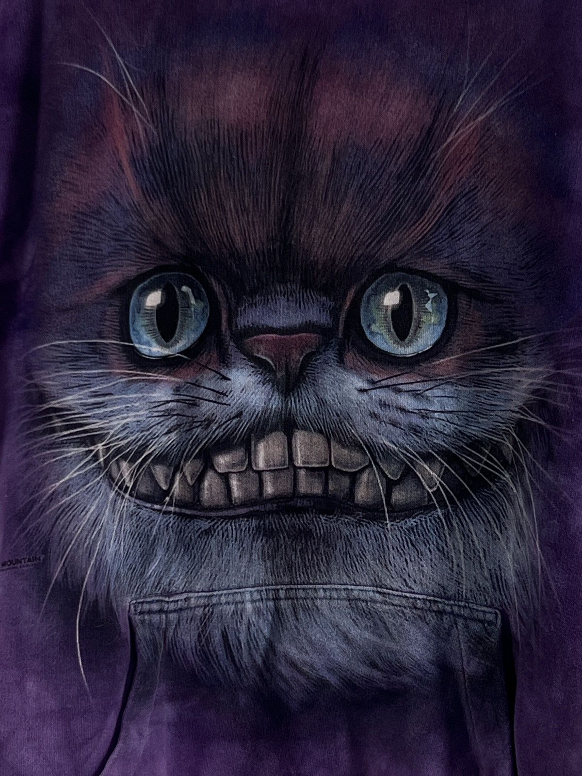 The Mountain THE MOUNTAIN HOODIE 2014 CHESHIRE CAT RARE/DEADSTOCK Size US L / EU 52-54 / 3 - 8 Thumbnail