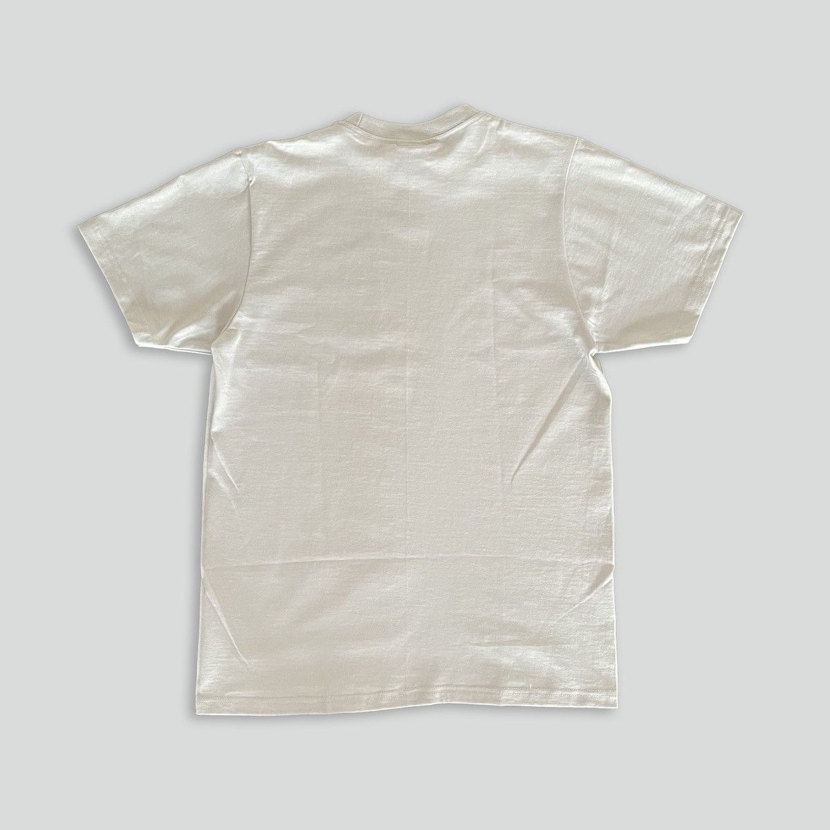 Stussy Stussy Dobermans Tee Fog SS24 Size US S / EU 44-46 / 1 - 2 Thumbnail