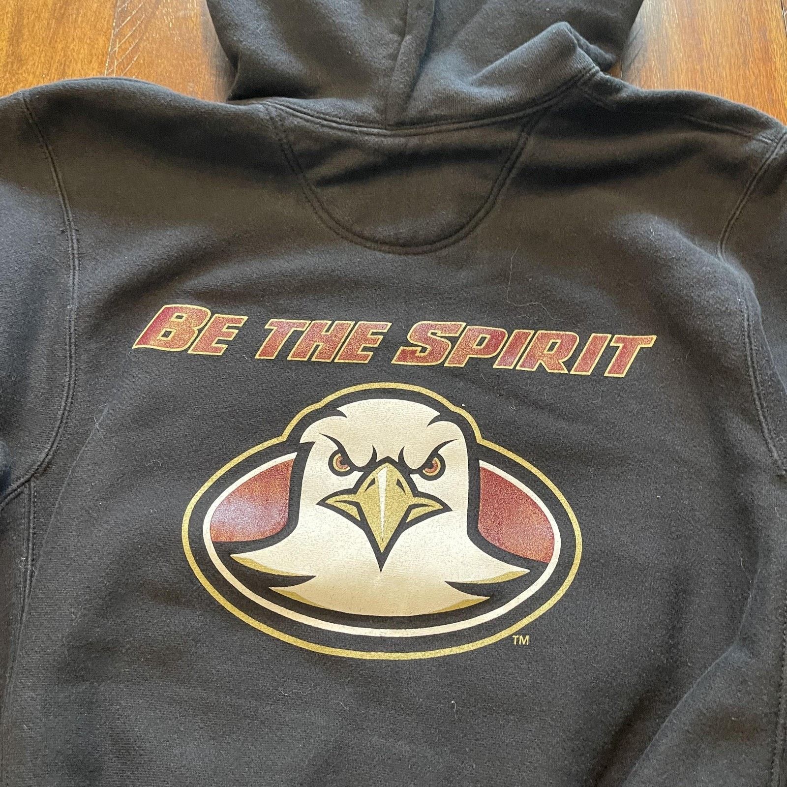 Champion Boston College Eagles Hoodie Pullover Mens Small NCAA Size US S / EU 44-46 / 1 - 10 Thumbnail