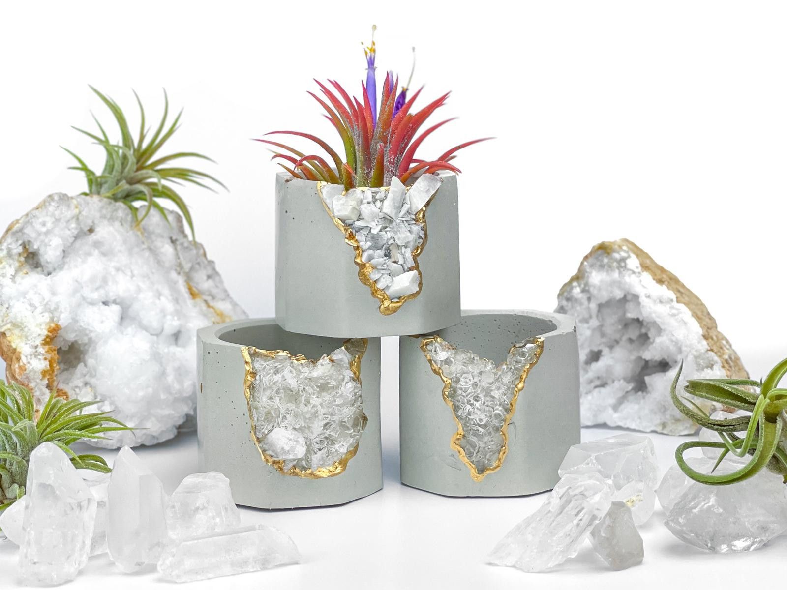 Other Clear Quartz Crystal Planter Small Succulent Pot tillandsia Size ONE SIZE - 7 Thumbnail