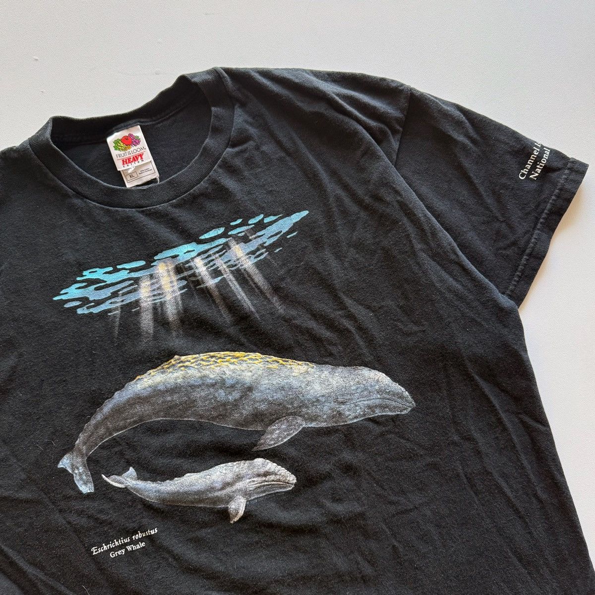 Vintage 2001 Vintage Y2K Grey Whale Nature Tee Size US XL / EU 56 / 4 - 2 Thumbnail