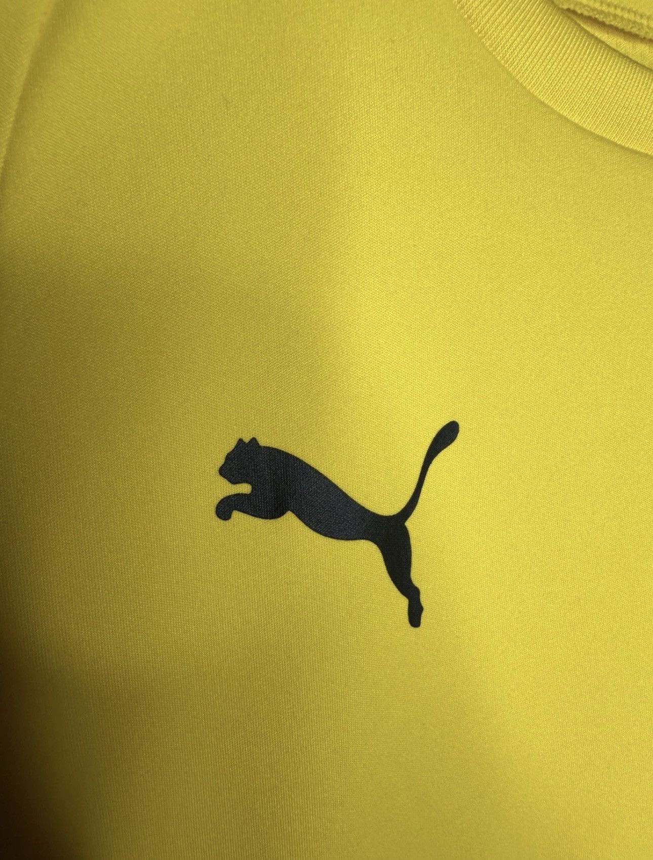 Puma PUMA BVB 2019 Borussia Dortmund Training Football T-Shirt Size US S / EU 44-46 / 1 - 4 Thumbnail
