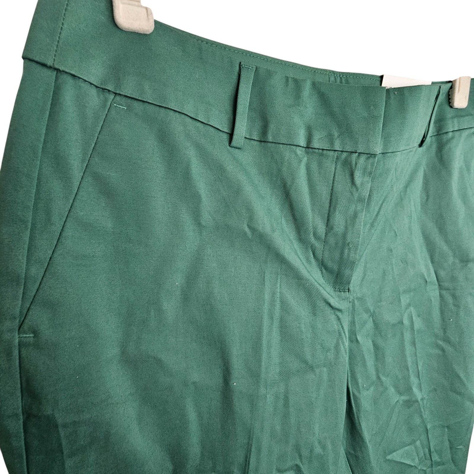 Ann Taylor Ann Taylor Womens The Crop Curvy Fit Trouser Pants Size 10 Size 32" / US 10 / IT 46 - 4 Thumbnail