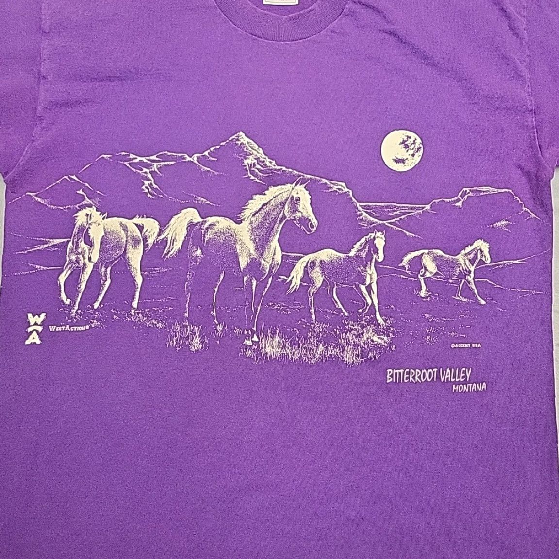 Fruit Of The Loom VTG Fruit of the Loom Bitterroot Valley Montana Shirt Mens L Purple AOP 90s Sports Cotton T-Shirt Crew Neck Short Sleeve Made in USA Mens Size US L / EU 52-54 / 3 - 2 Thumbnail