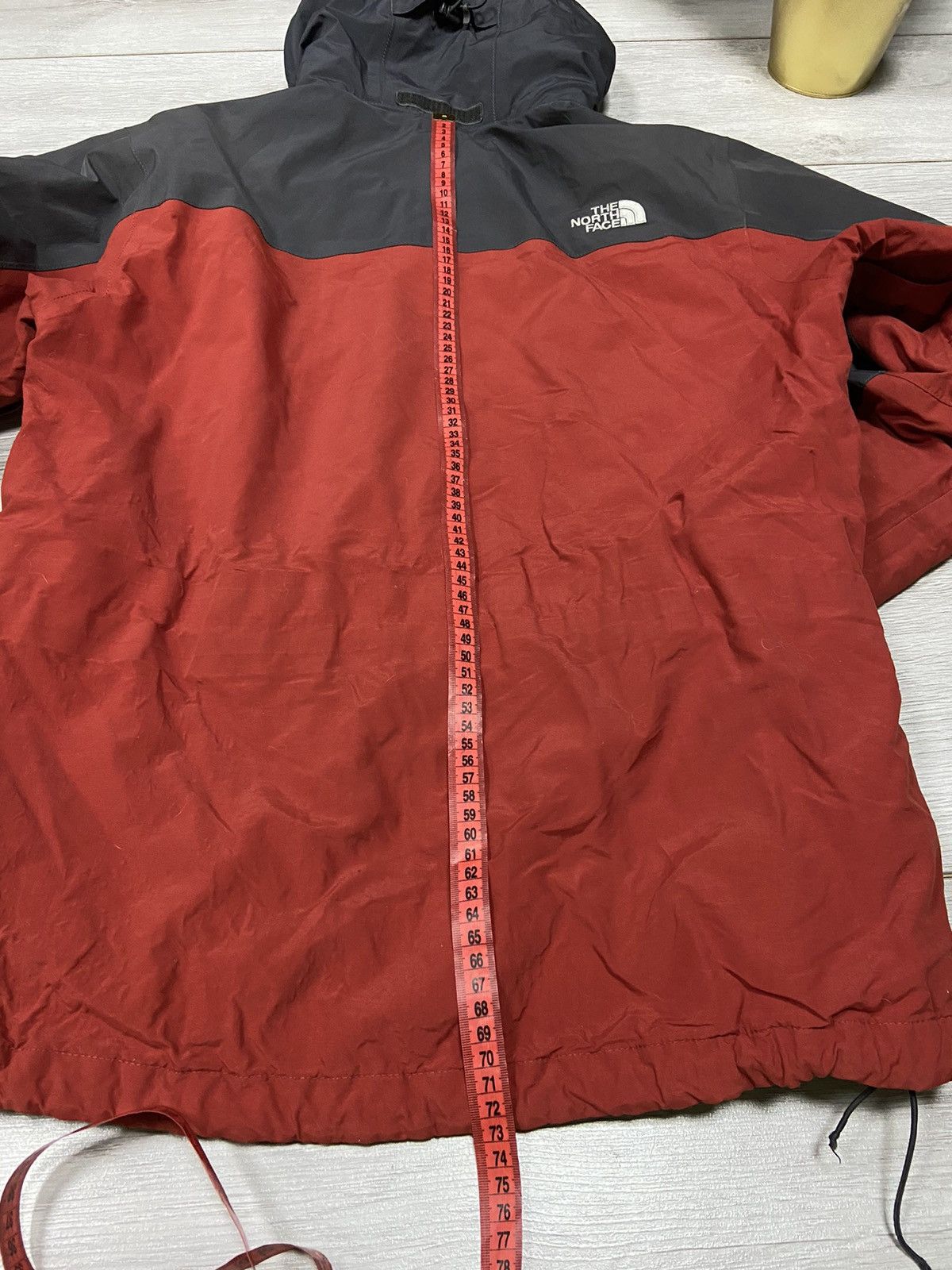 The North Face The North Face Gore Tex gorpcore Arcteryx style jacket Size US M / EU 48-50 / 2 - 14 Thumbnail