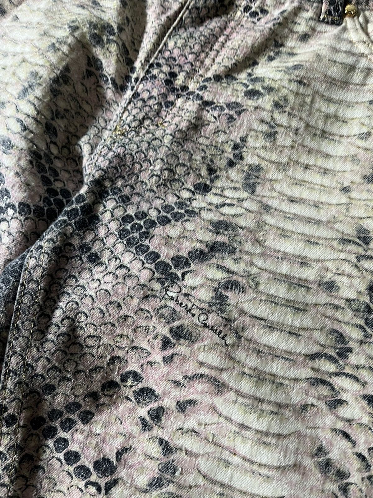 Roberto Cavalli Roberto Cavalli A/W 2002 Python effect pants very rare Size US 30 / EU 46 - 7 Thumbnail