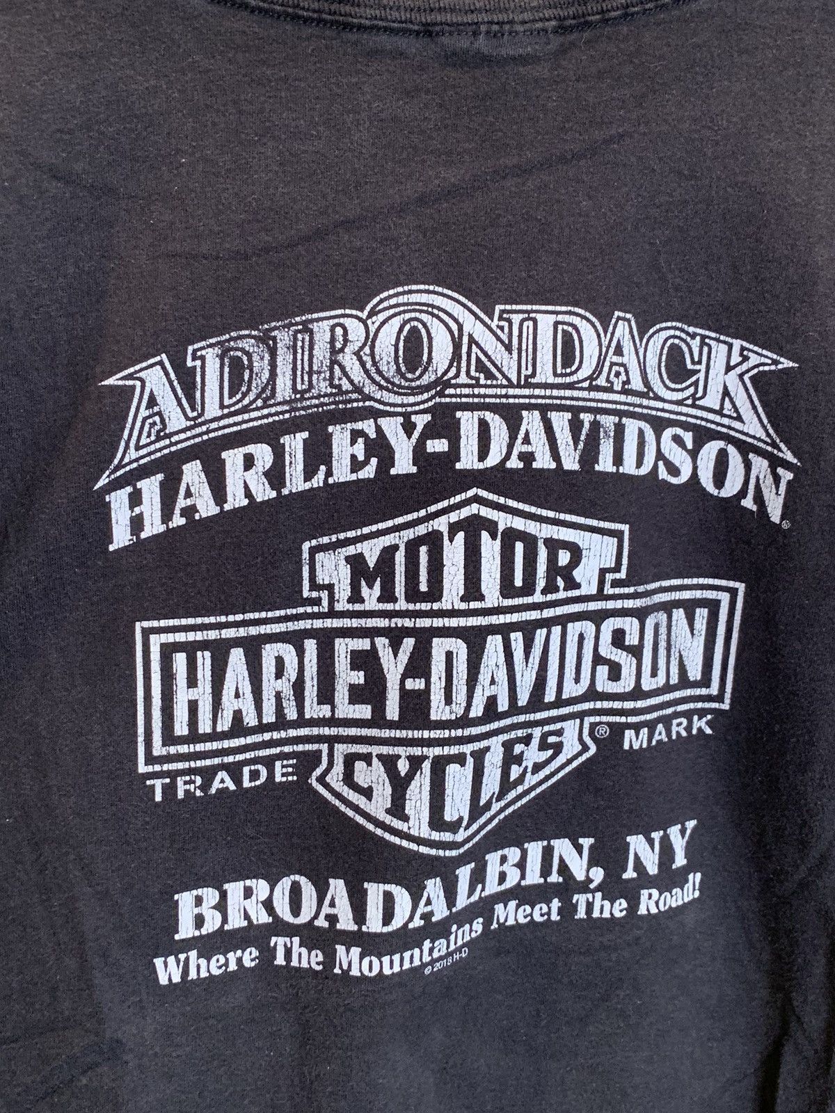Designer × Harley Davidson *RARE* Harley Davidson Blue Flame Eagle Adirondack NY Shirt Size US XL / EU 56 / 4 - 4 Thumbnail