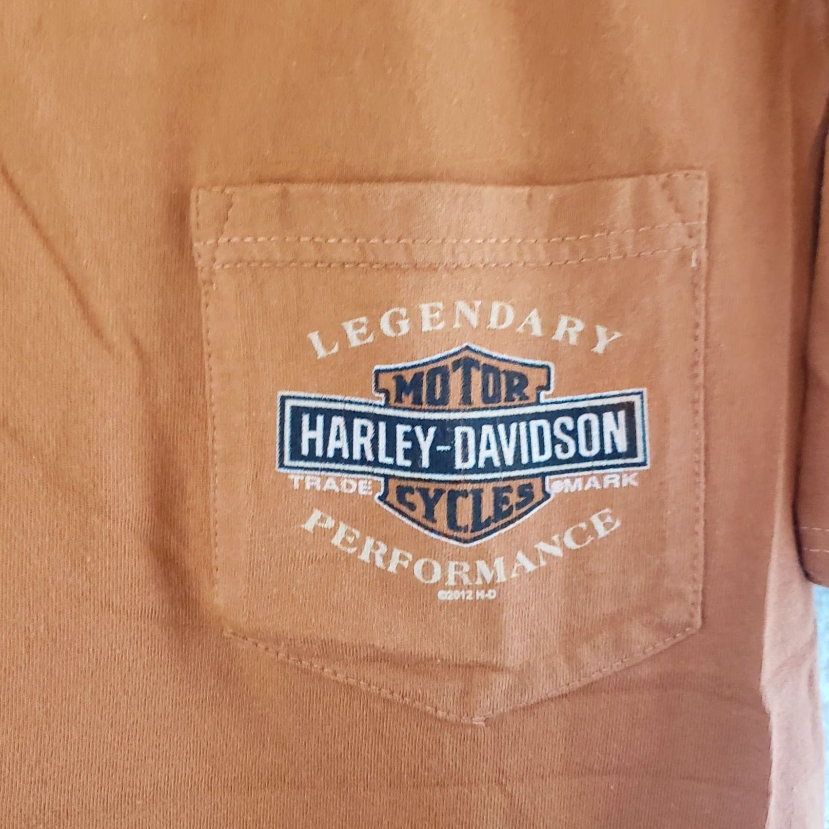 Harley Davidson Harley-Davidson Texas Longhorn Skull Grand Prairie Orange Shirt Men's L Size US L / EU 52-54 / 3 - 4 Thumbnail