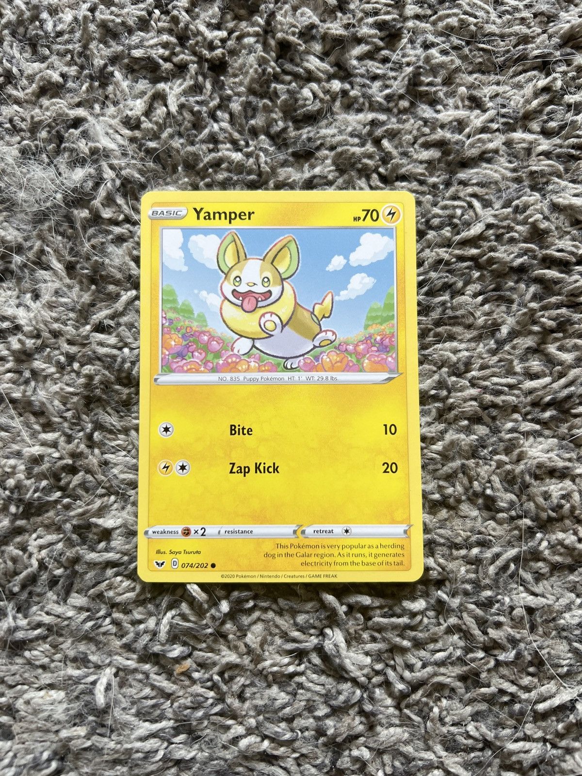 Pokemon 2020 Pokémon Yamper Basic Card Size ONE SIZE - 1 Thumbnail