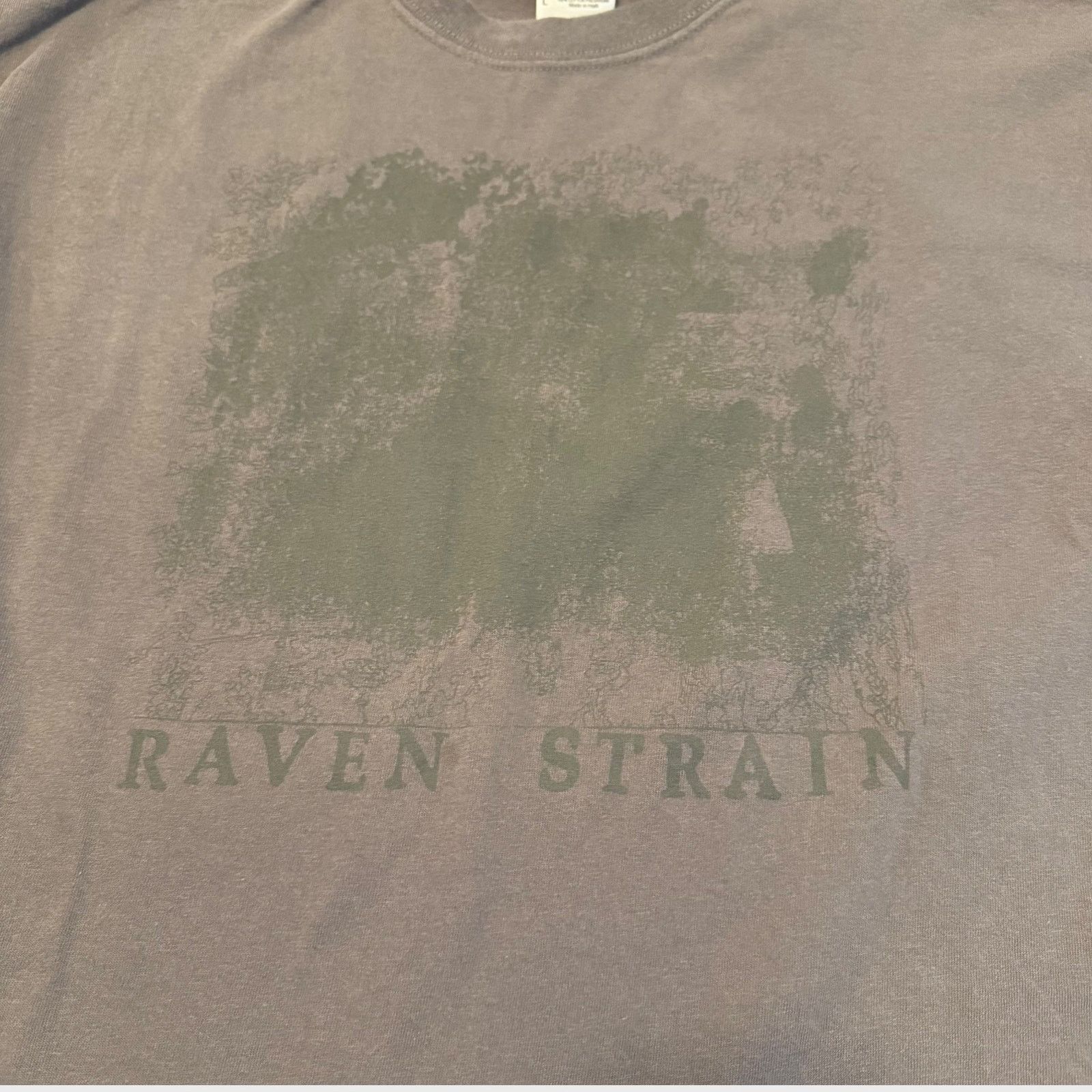 Band Tees Raven Strain Noise Band Gray T-Shirt Size L Size US L / EU 52-54 / 3 - 2 Thumbnail