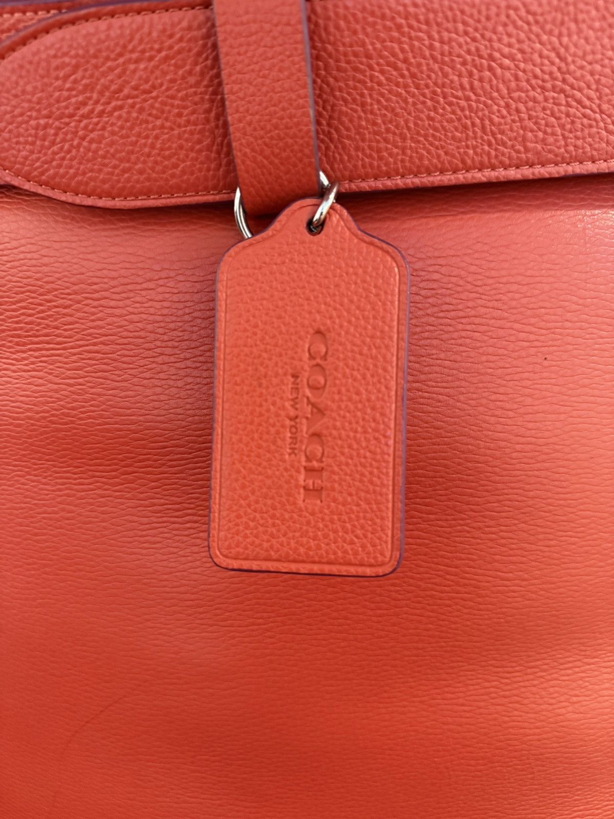 Coach Oversized Coach Full-Leather Bear Flagship Store Size ONE SIZE - 7 Thumbnail