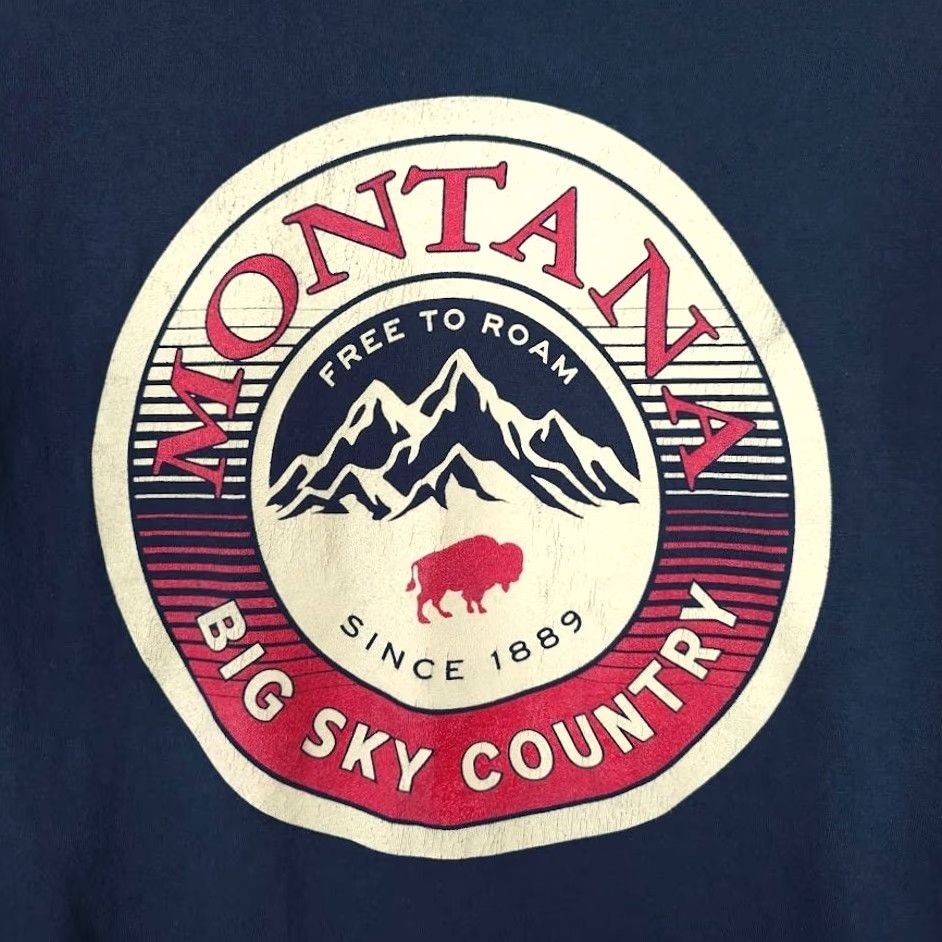 Vintage Montana T Shirt Mens L Blue Big Sky Country Free To Roam Destination Nike Size US L / EU 52-54 / 3 - 5 Thumbnail